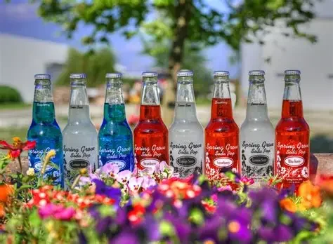 SG Soda.webp