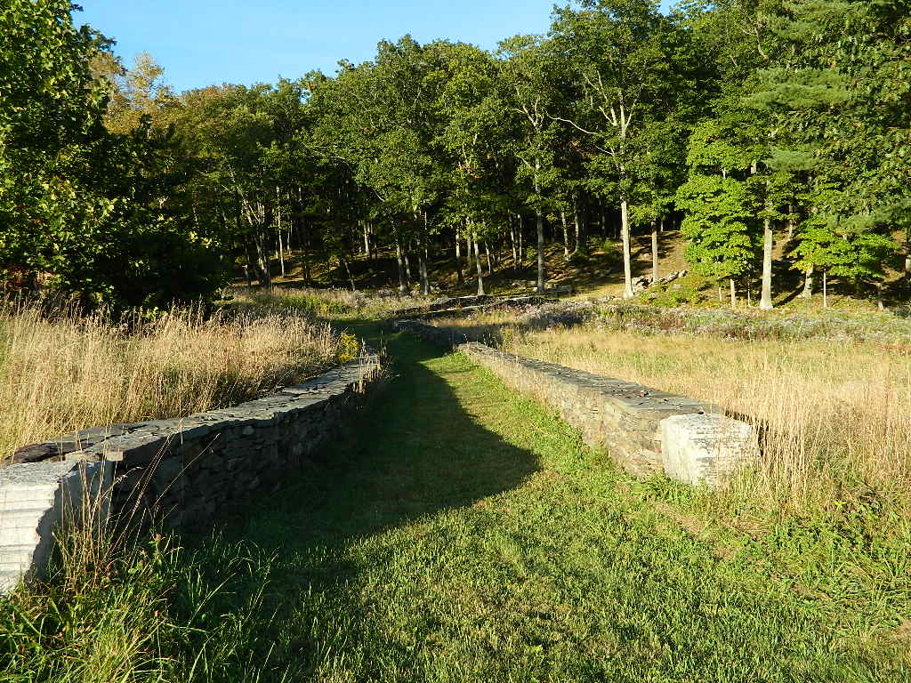 bridge 1.jpg