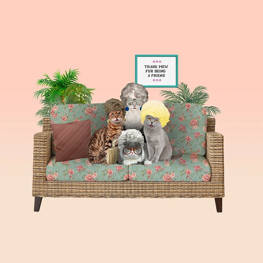 Catsof86_GoldenGirls.jpg