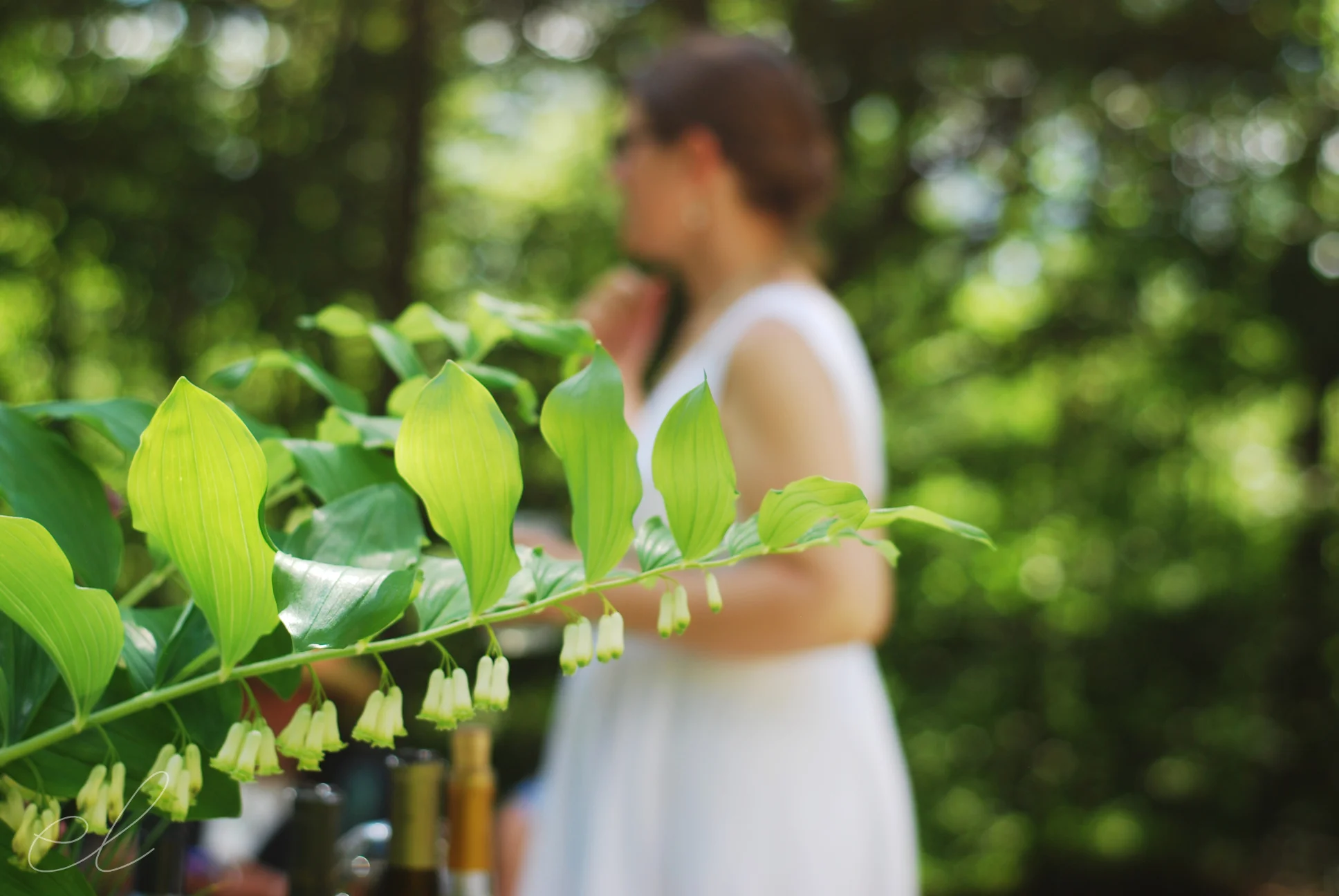 married: sarah & pete // new hampshire