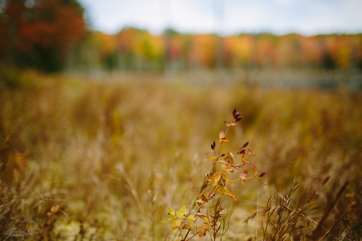 Widow-MakerFarm_NewDurham_201610_ELordPhoto-40.jpg