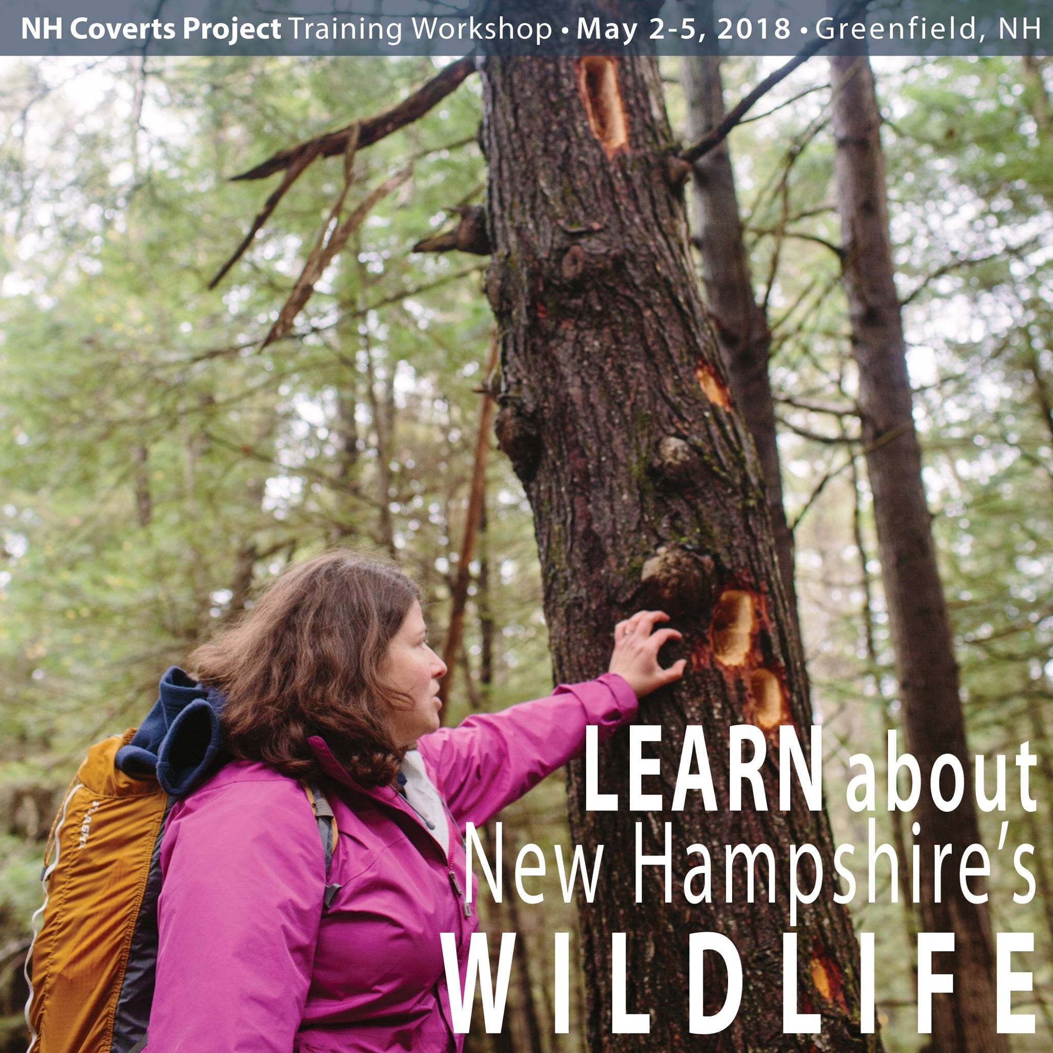 Photographs for the NH Coverts Project , UNH Cooperative Extension