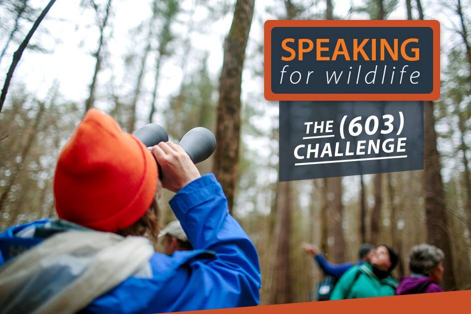 Photographs used on social media for the 603 Fundraising Challenge, University of New Hampshire Cooperative Extension.
