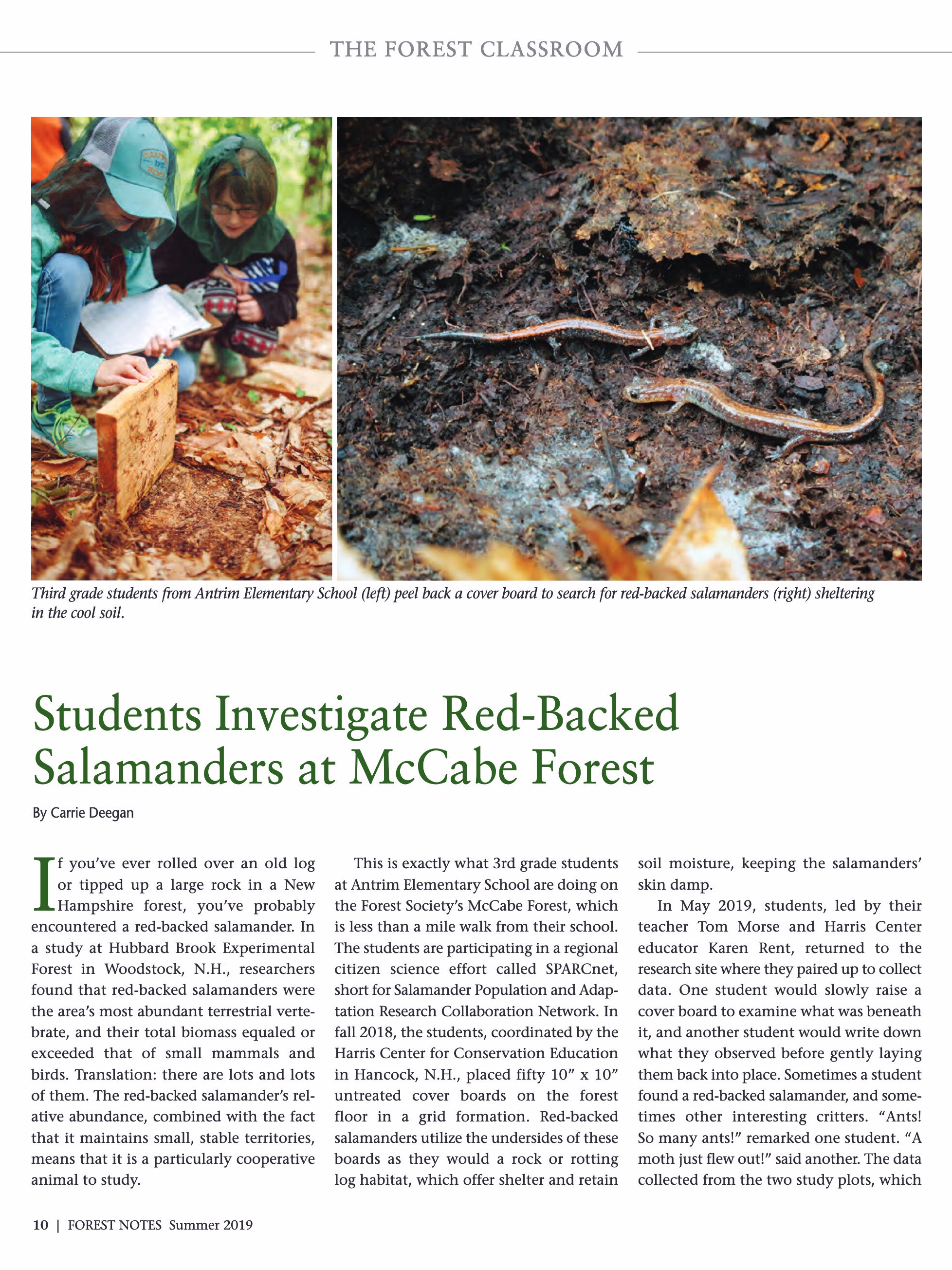 EL_Forest Notes_Summer 19 pdf(4).jpg