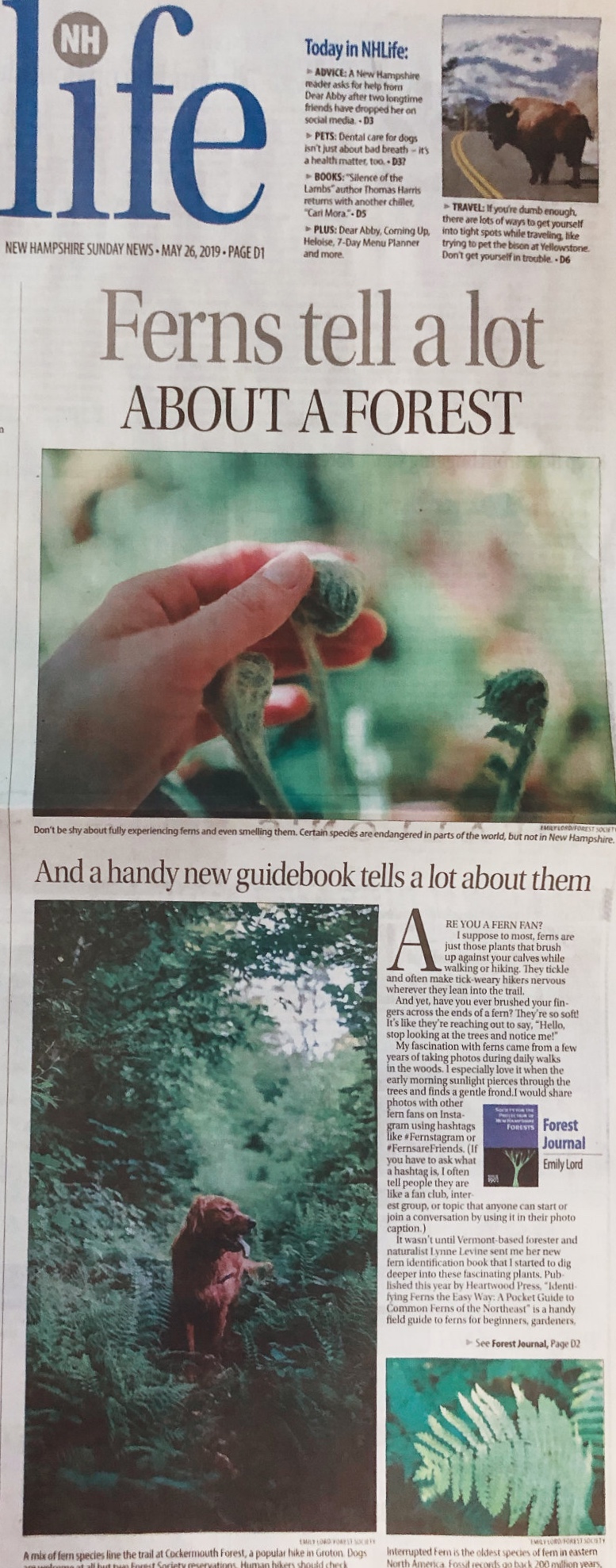 Photography and writing for Forest Journal in the Union Leader’s NH Sunday News