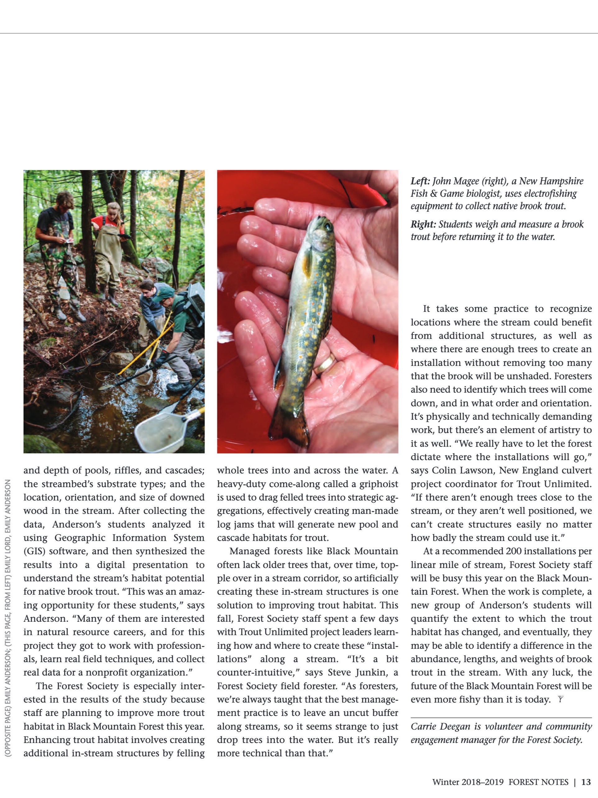 EL_Forest Notes Winter 18-19 web pdf(1).jpg