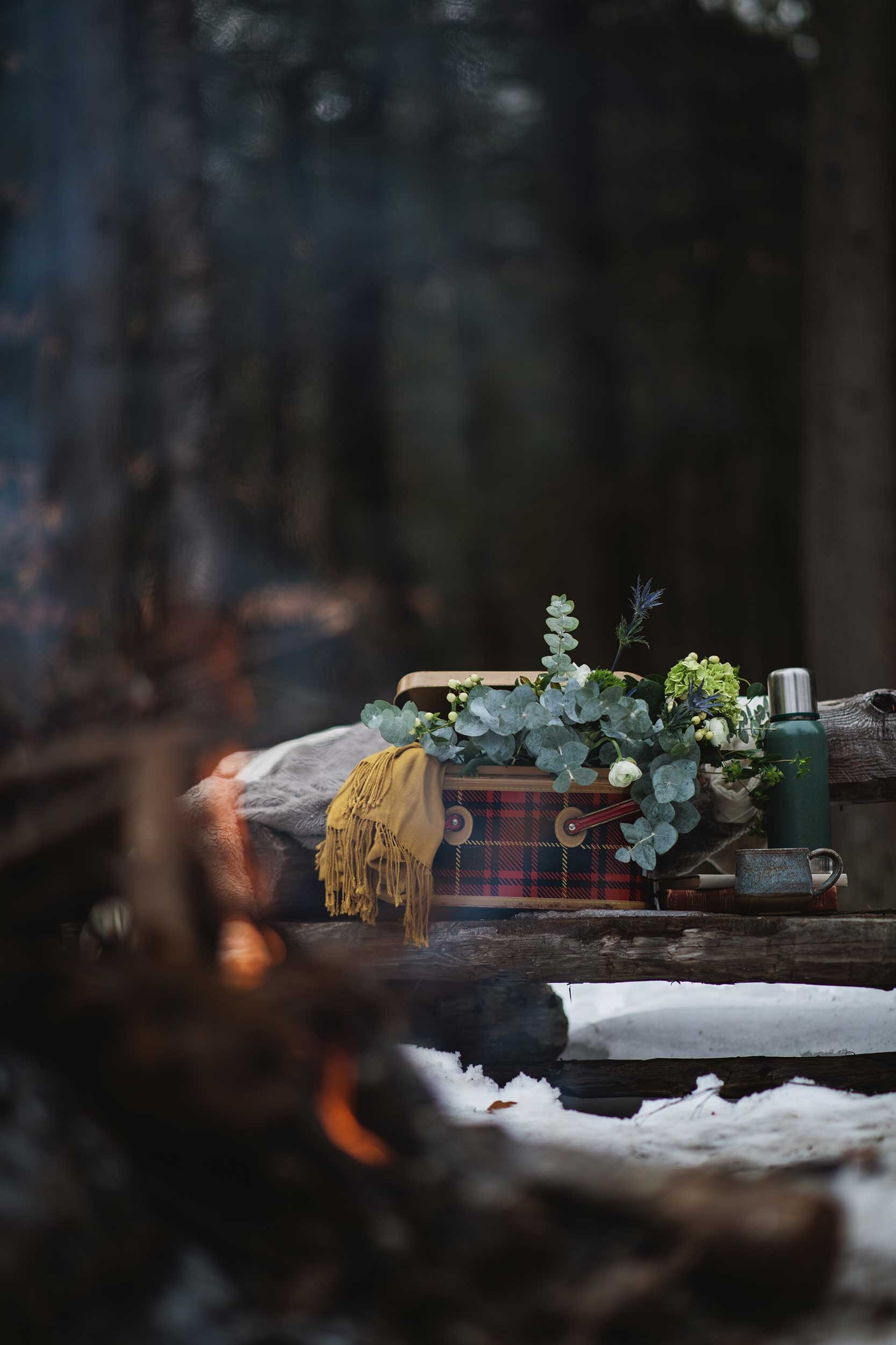 Winter Picnic - Florals + Charcuterie in the Snowy Woods — Emily Lord ...