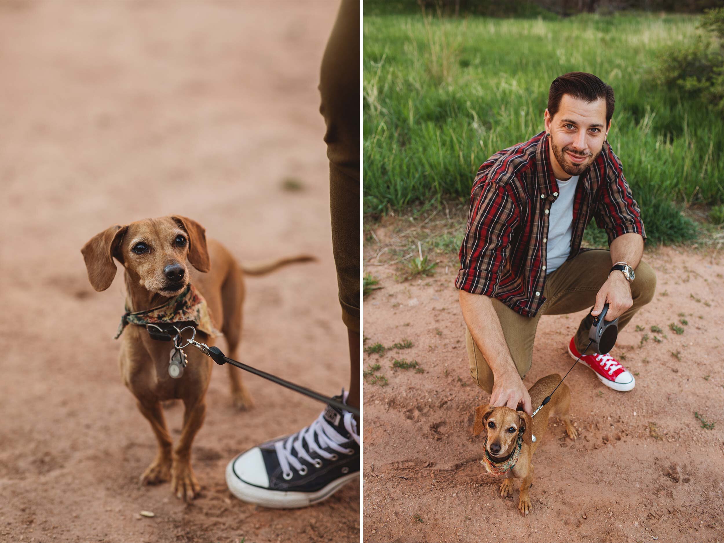little brown dog with short hair looking up at its owner side by side with a shot with them together, the man crouching with chuck Taylors
