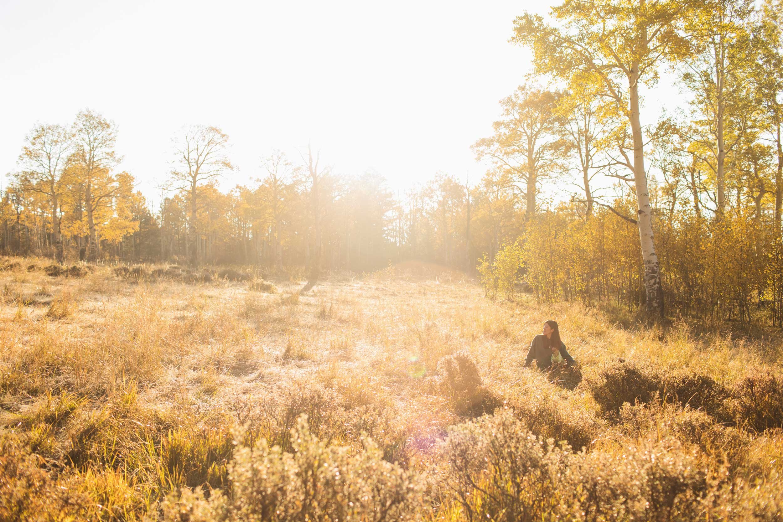 AutumnSunrise_EmilyLordPhoto_16.jpg