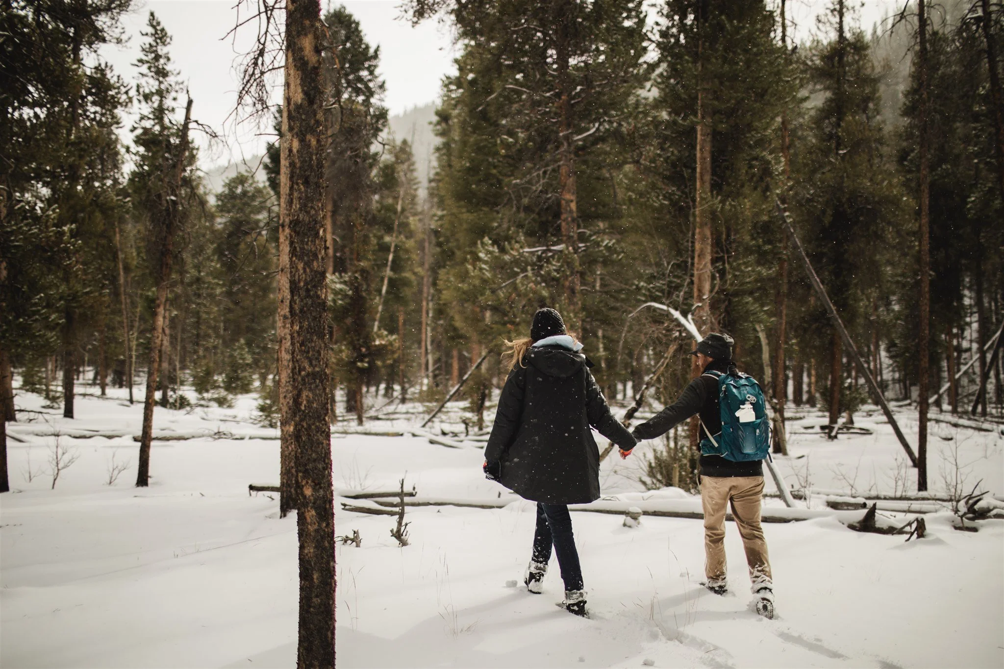 SZXmasTree2023-EmilyLordPhoto-57.jpg
