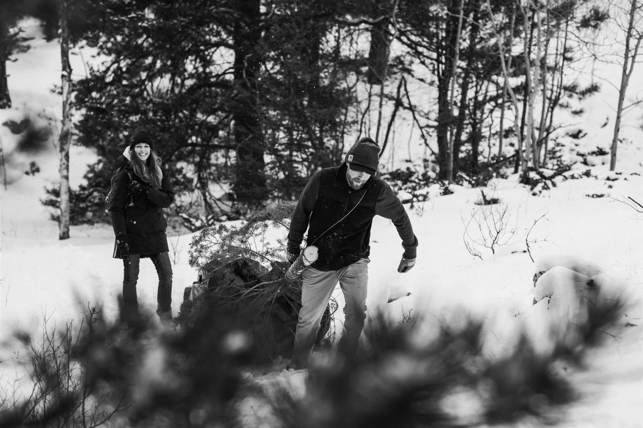 SZXmasTree2023-EmilyLordPhoto-102.jpg