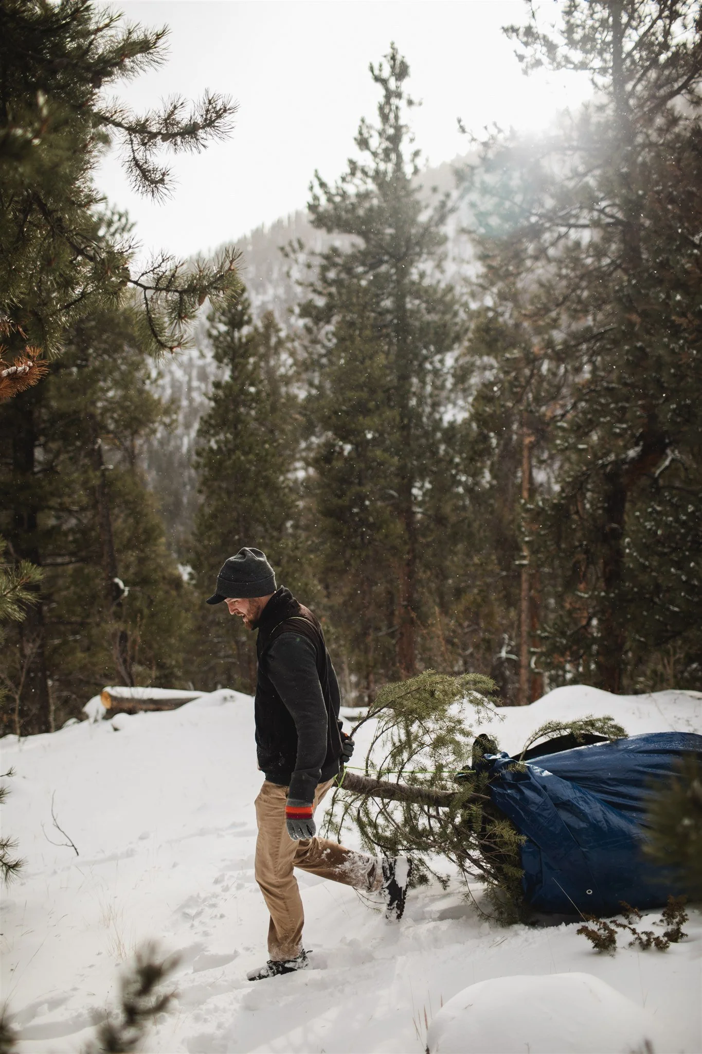 SZXmasTree2023-EmilyLordPhoto-105.jpg