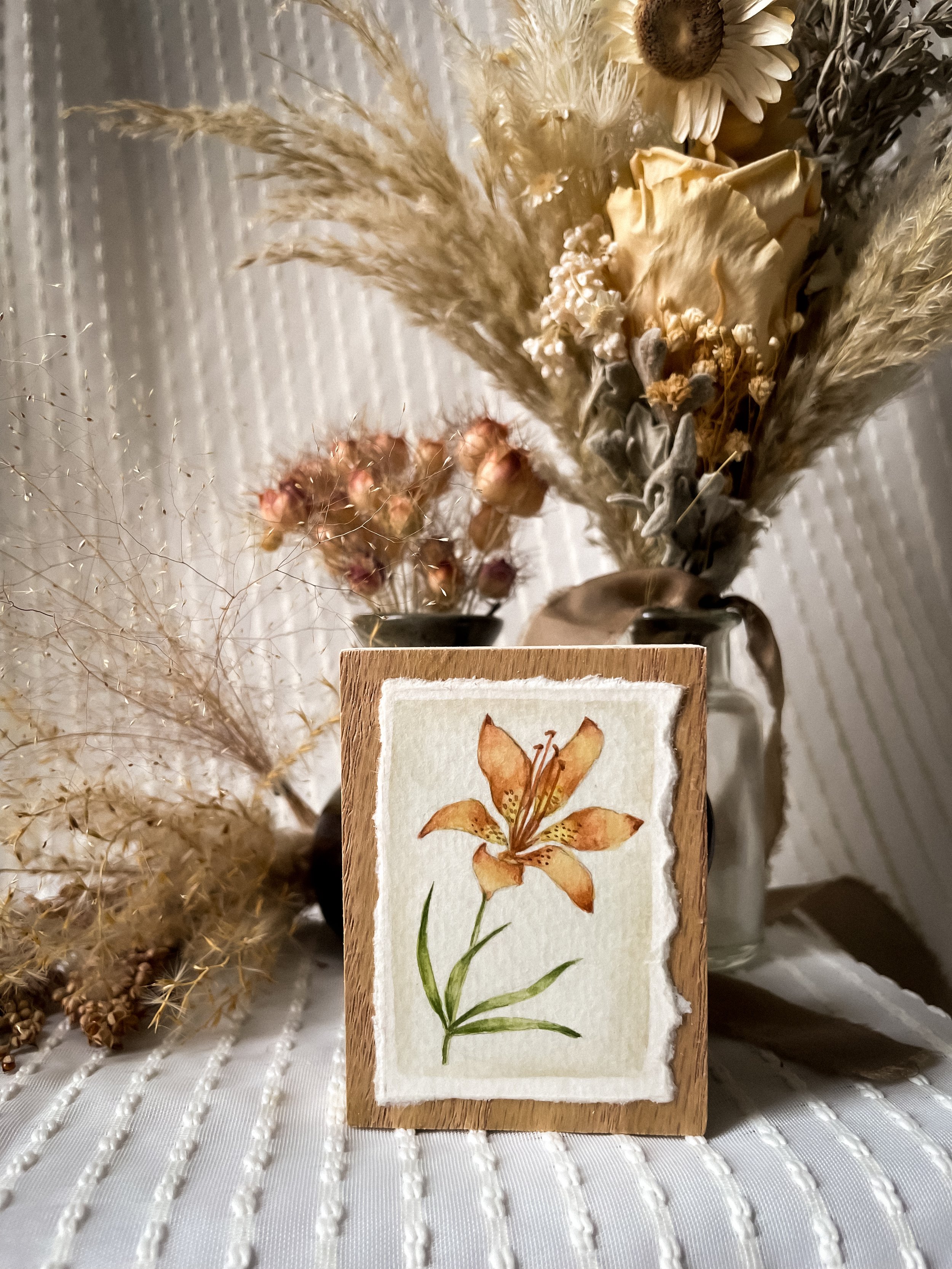 Western Red Lily-7.JPG