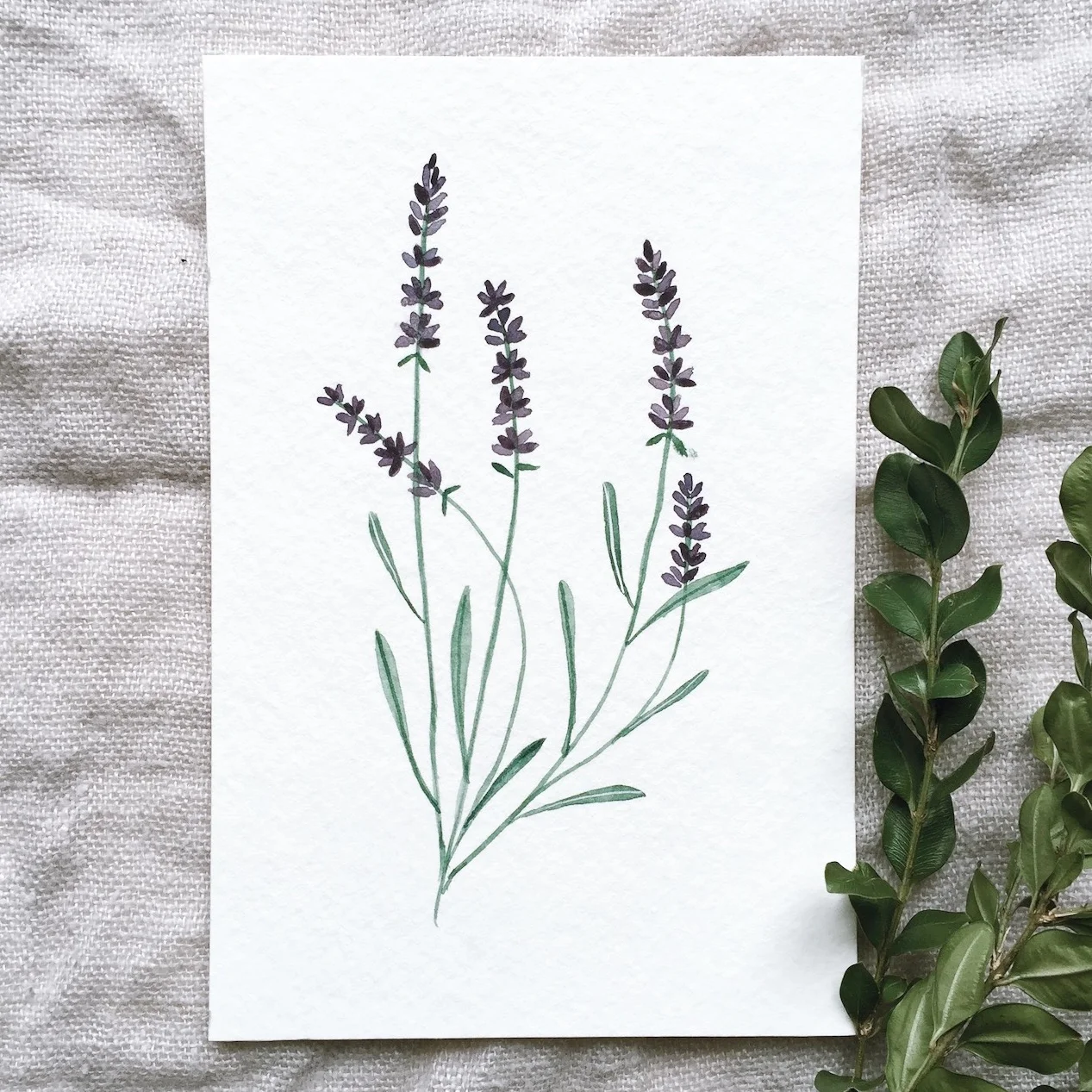 1- Dark Lavender by Jenni Haikonen.JPG