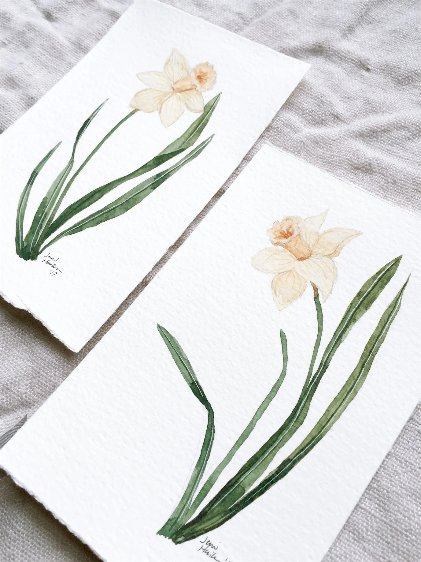 2- Daffodils by Jenni Haikonen.JPG