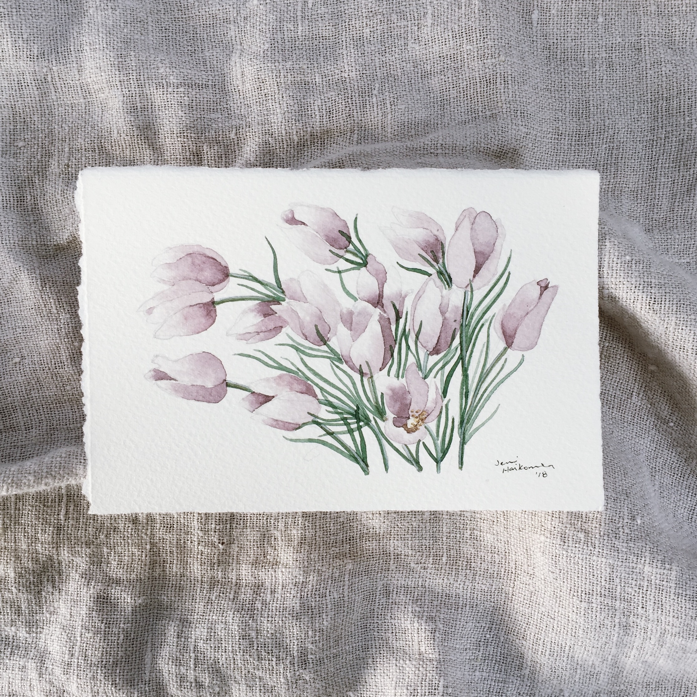 1- Prairie Crocus One by Jenni Haikonen WEB.jpeg