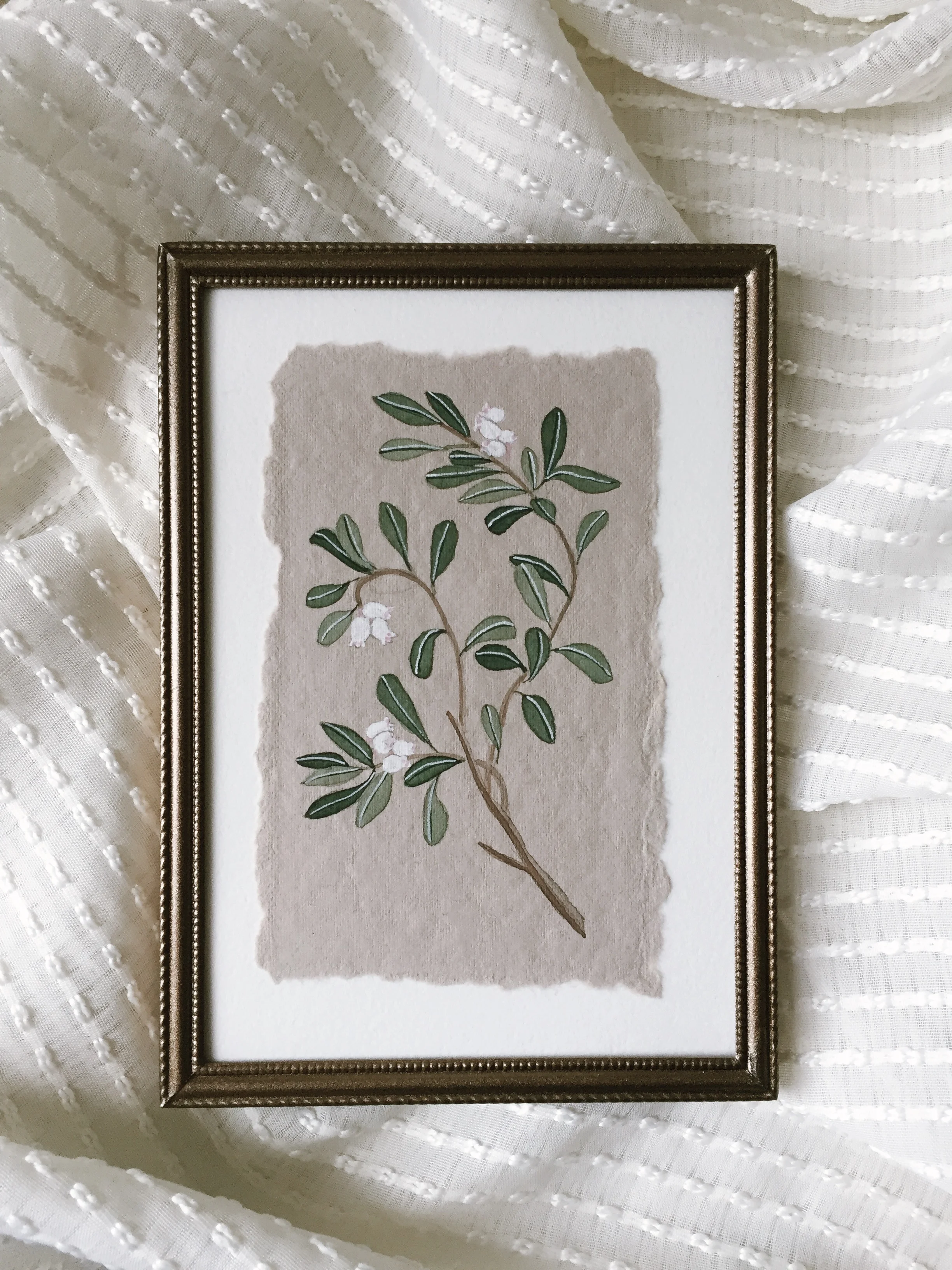 Common Bearberry Study #6 (flowering), 3x5 Original Watercolor Painting