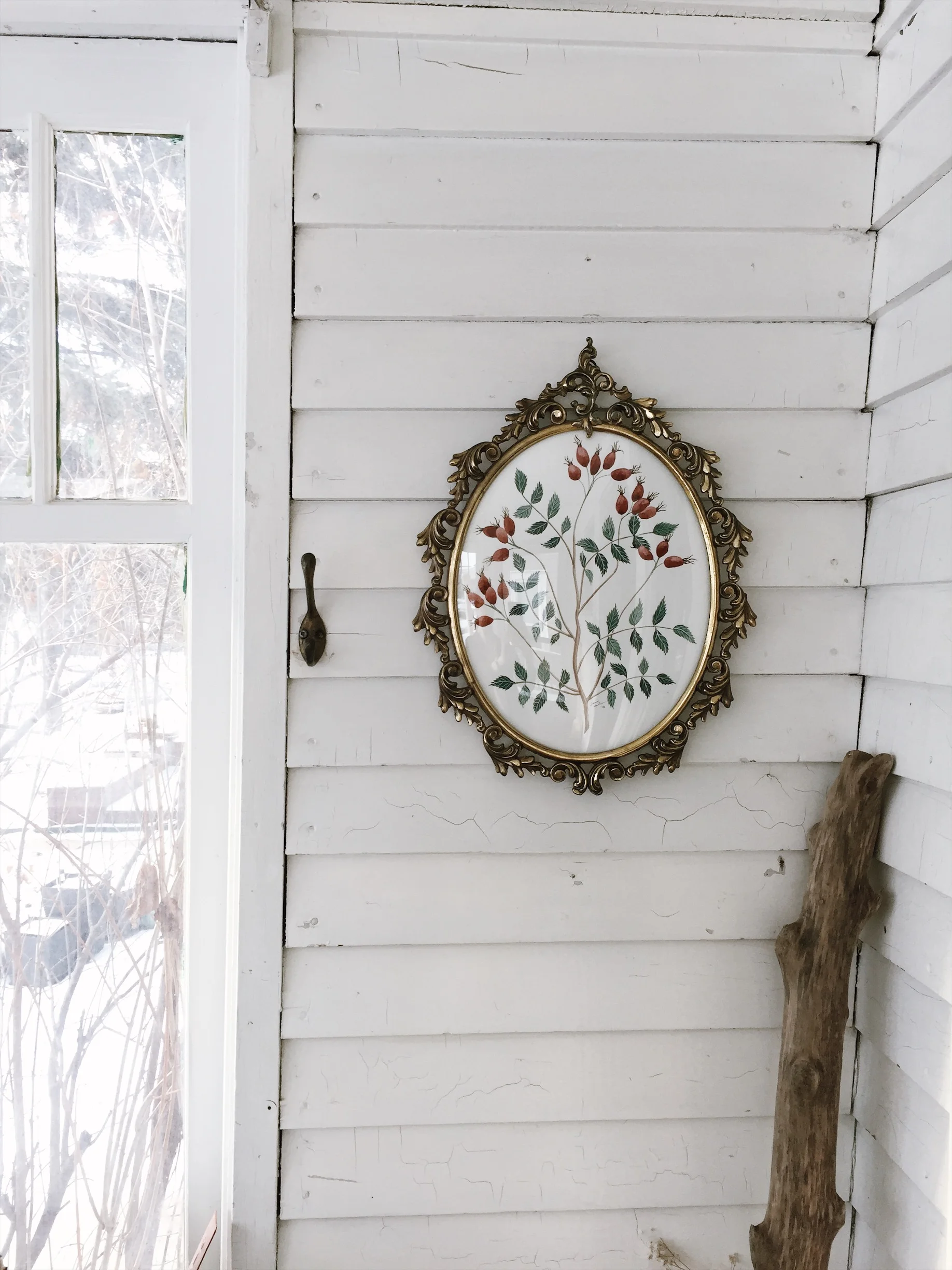 Rosehip Study #5, Original Oval Watercolor Painting