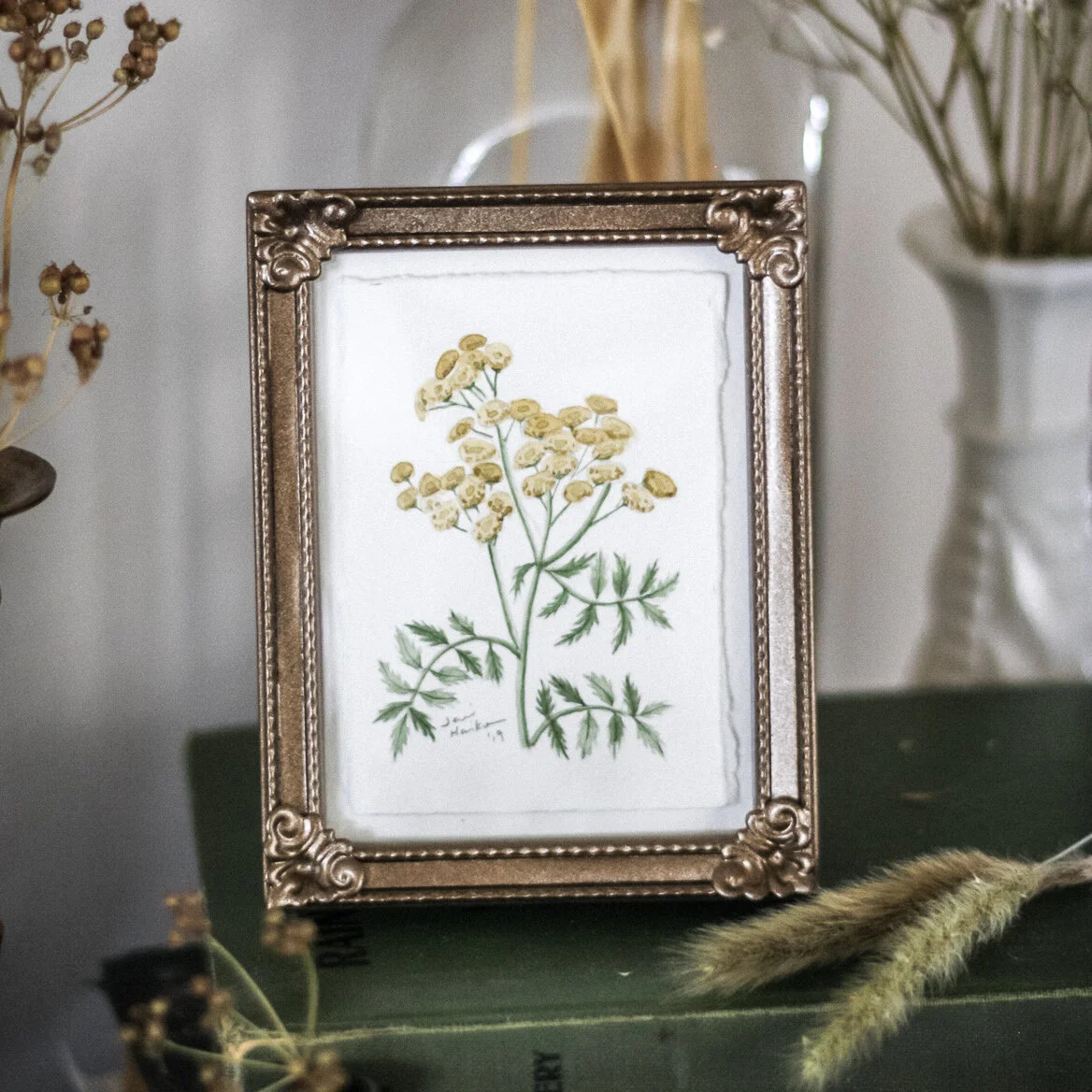 Tansy Study #3, 2.25x3.25 Original Watercolour Painting