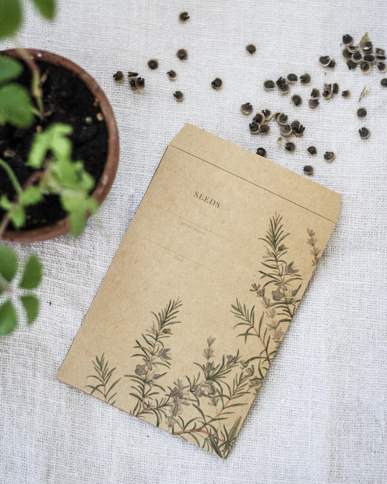 Printable Seed Packet, Rosemary Design — Jenni Haikonen Studio