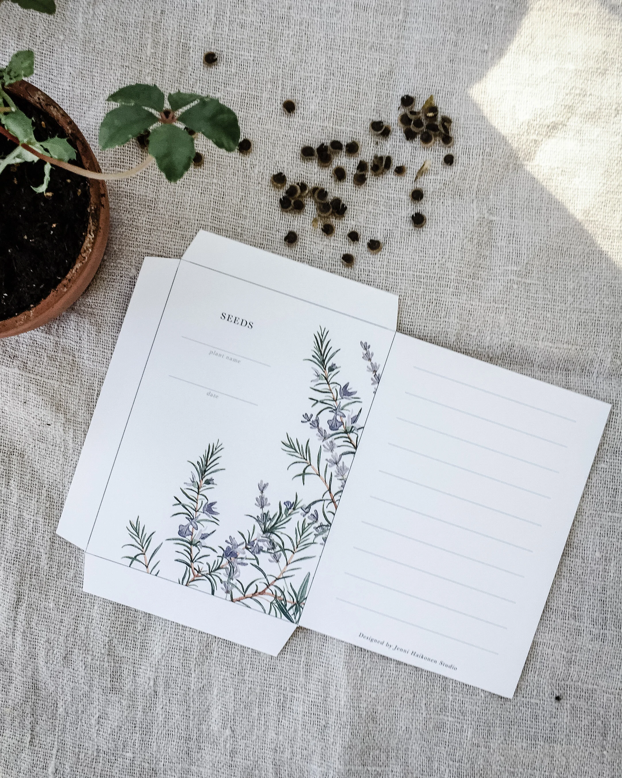 Rosemary-Unfolded.jpg