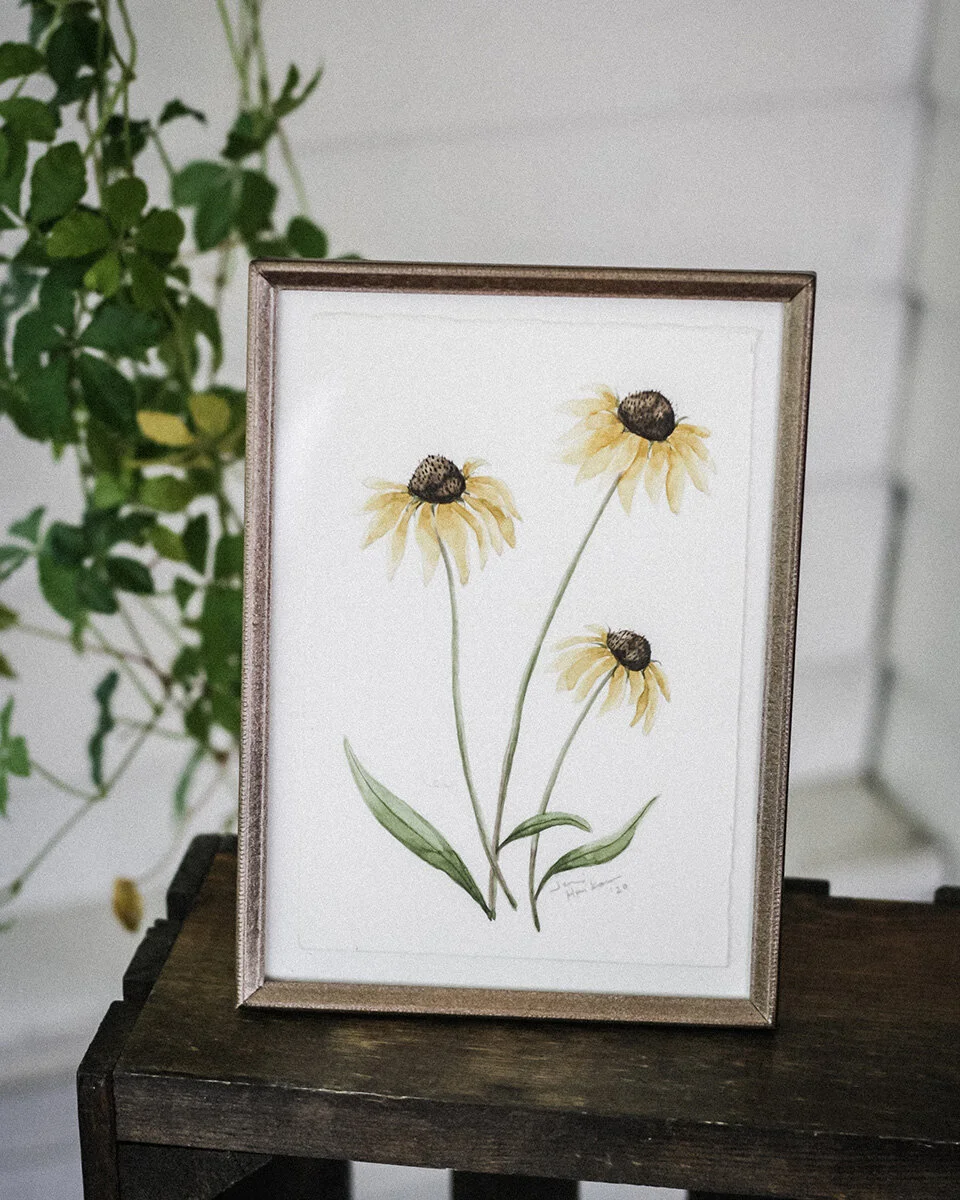 Black Eyed Susan Study #1, Original Botanical Painting