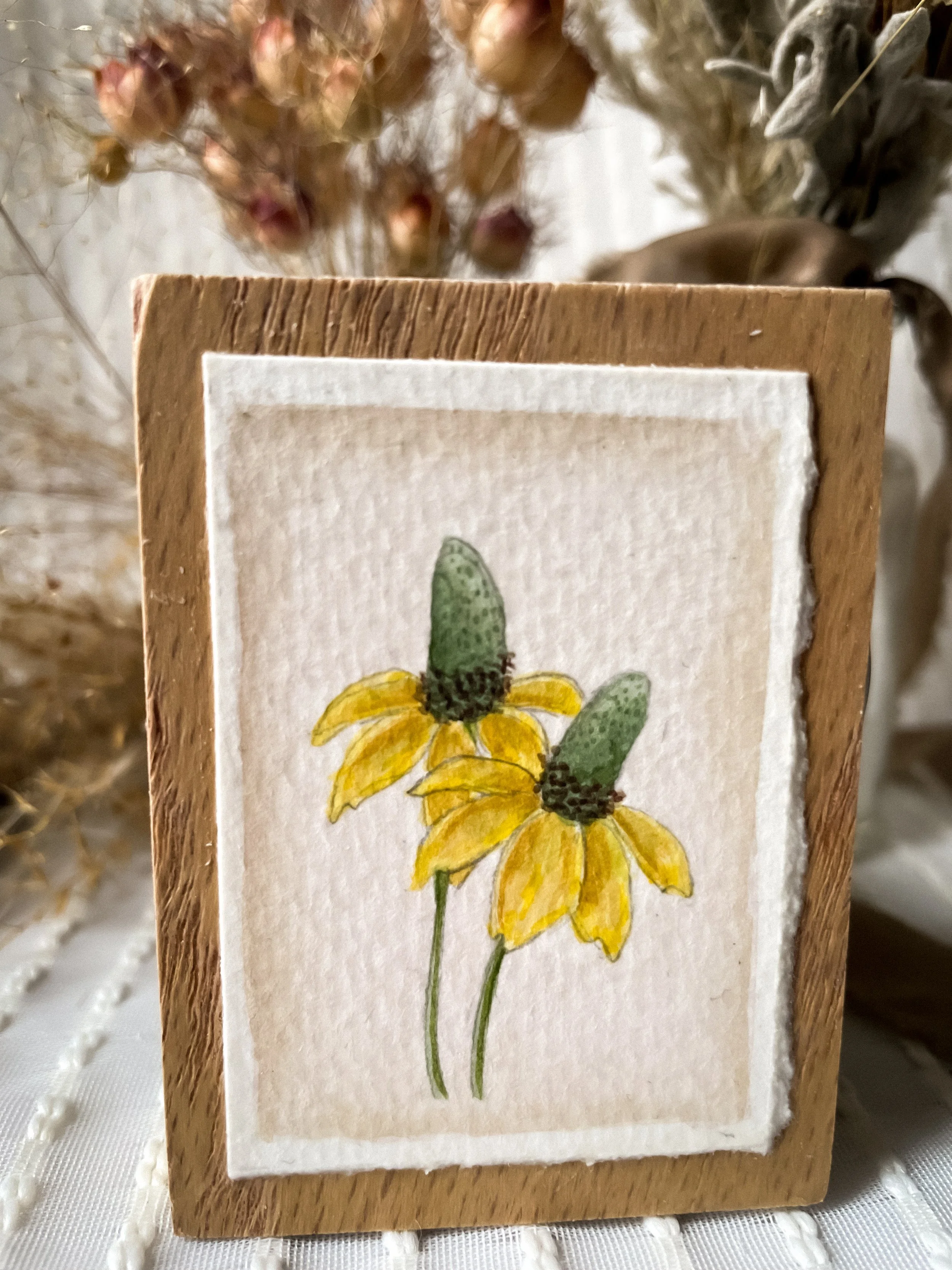 Yellow Coneflower-10.JPG