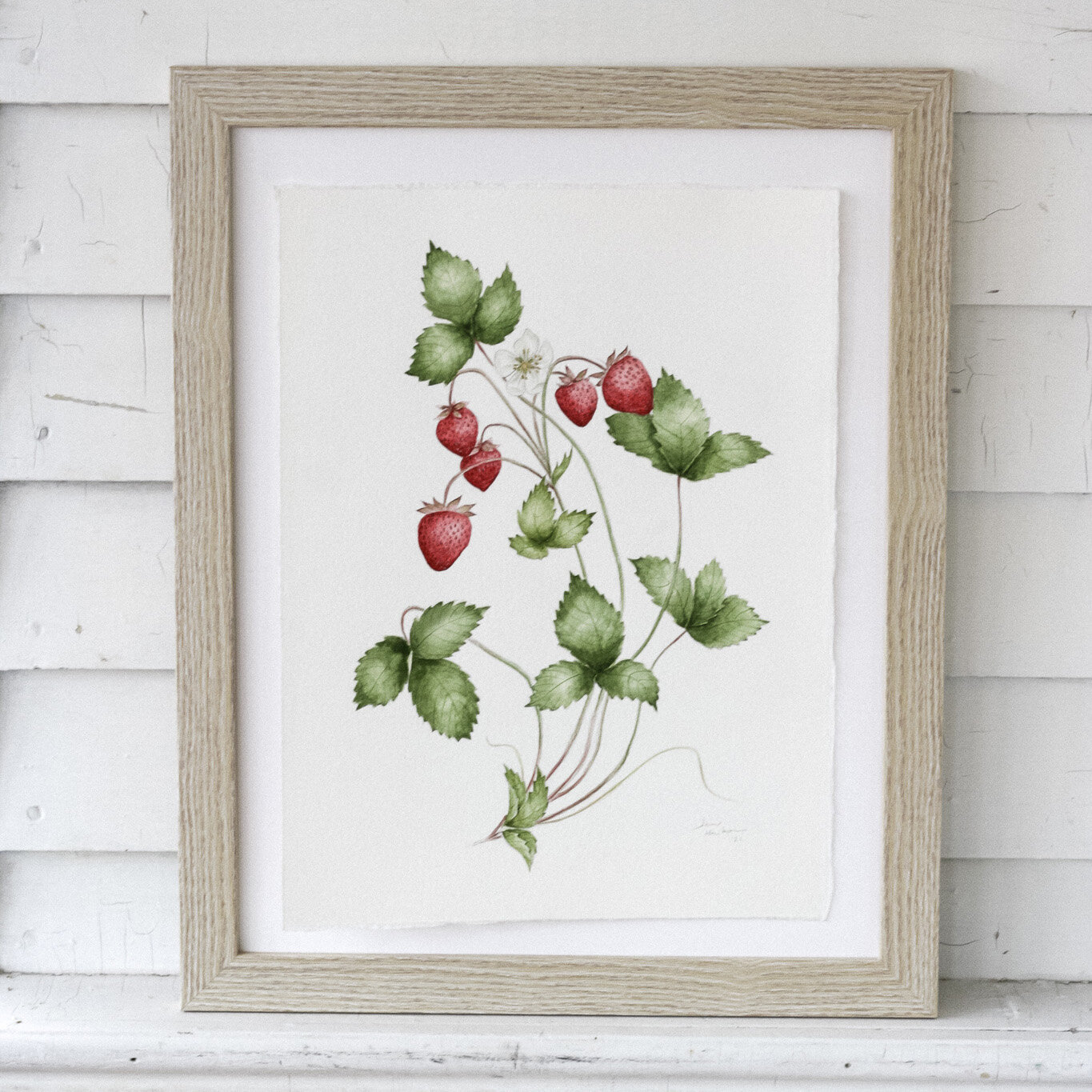 Wild Strawberries Study