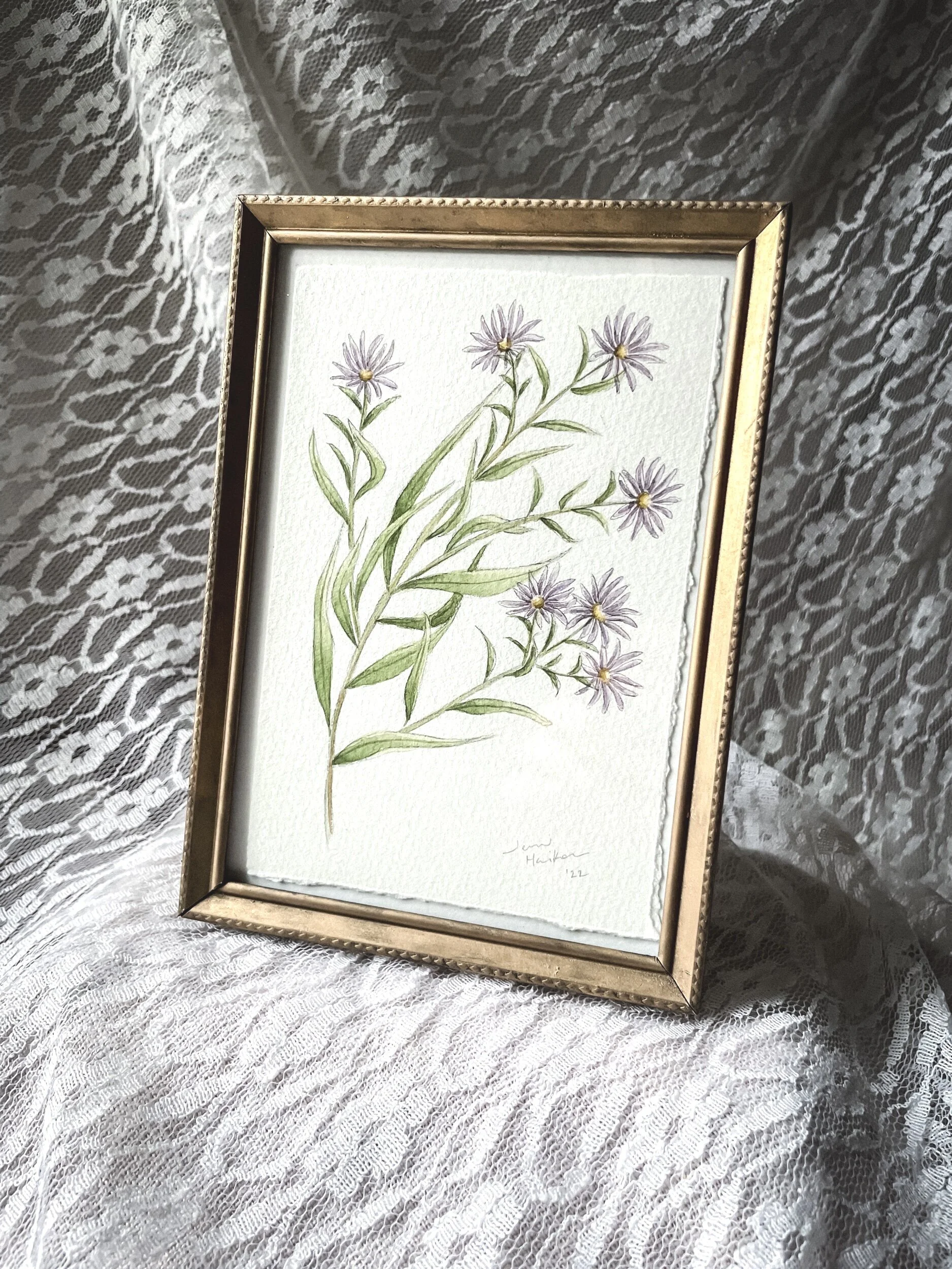 3754E2B0-CB1D-4939-9E15-7A986E4143A2