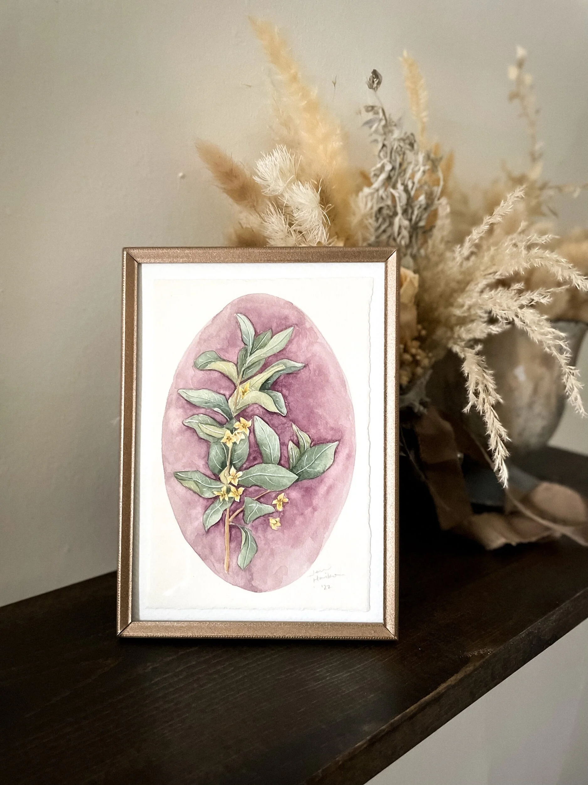 5210E580-24A2-47E8-87DB-DDEDC1B63156