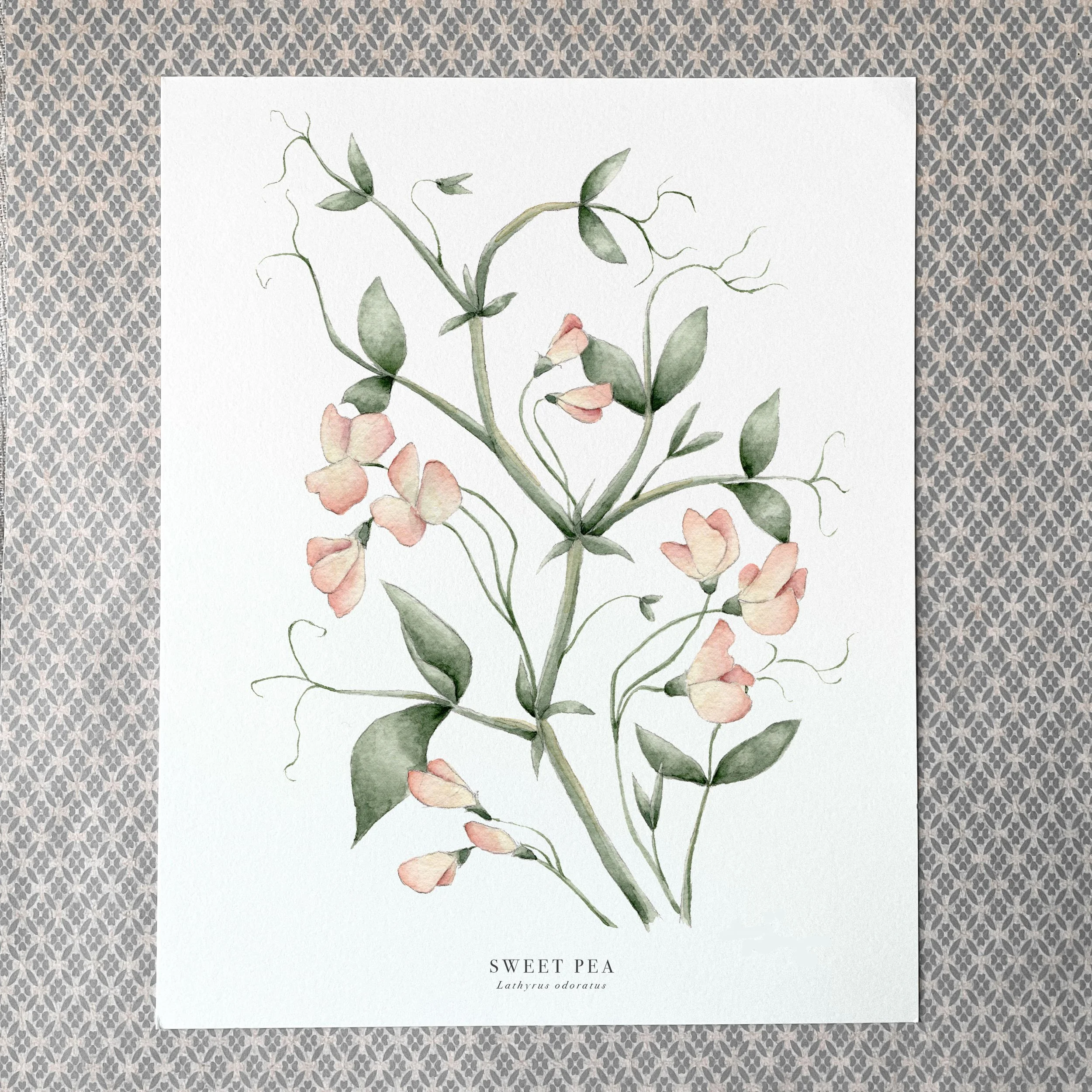 Sweet Pea Print WEB.jpg