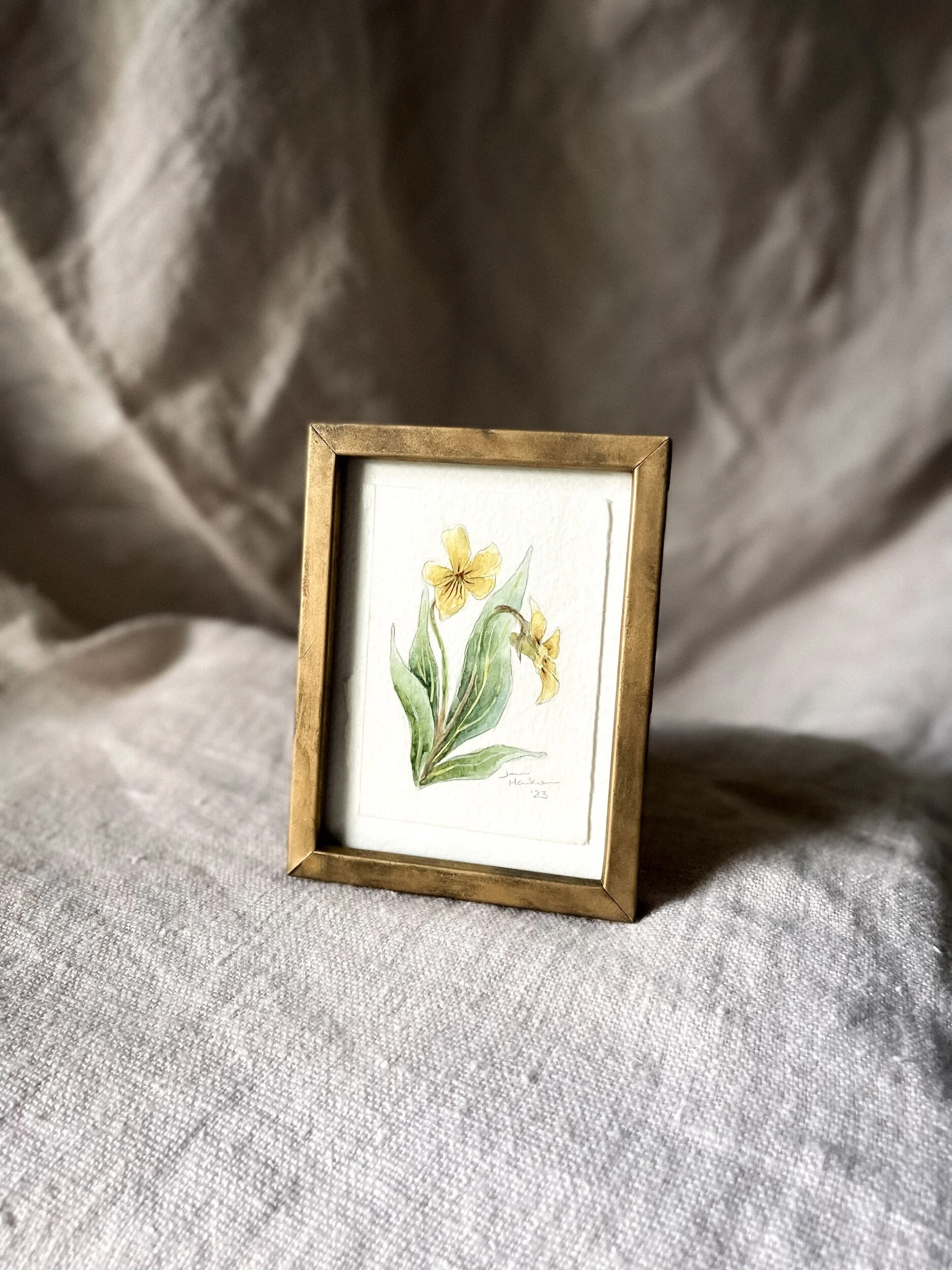 573EBED5-CAFA-4D3D-B77E-92EBA81F6373