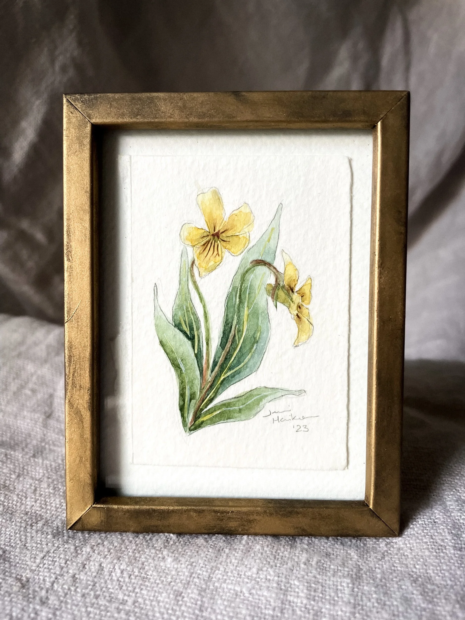 F3FEE3D0-2F1C-434A-871F-33A720C9F184