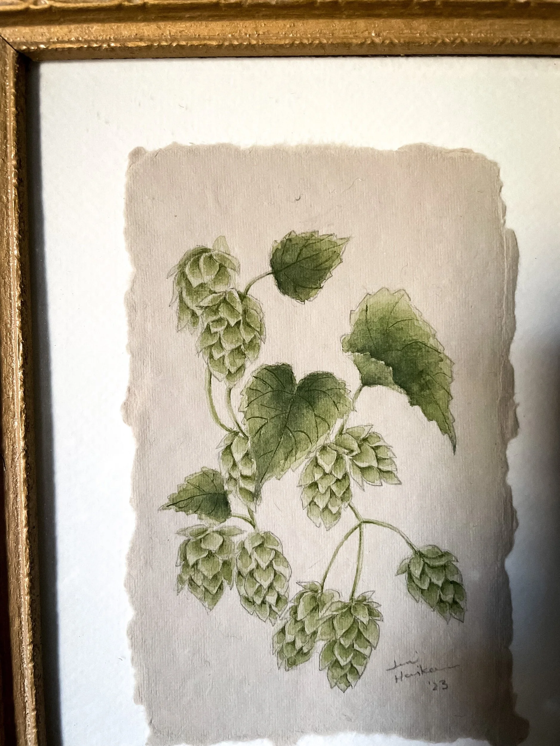 B7BE8B04-F462-47A2-90F2-6C5F4278335A