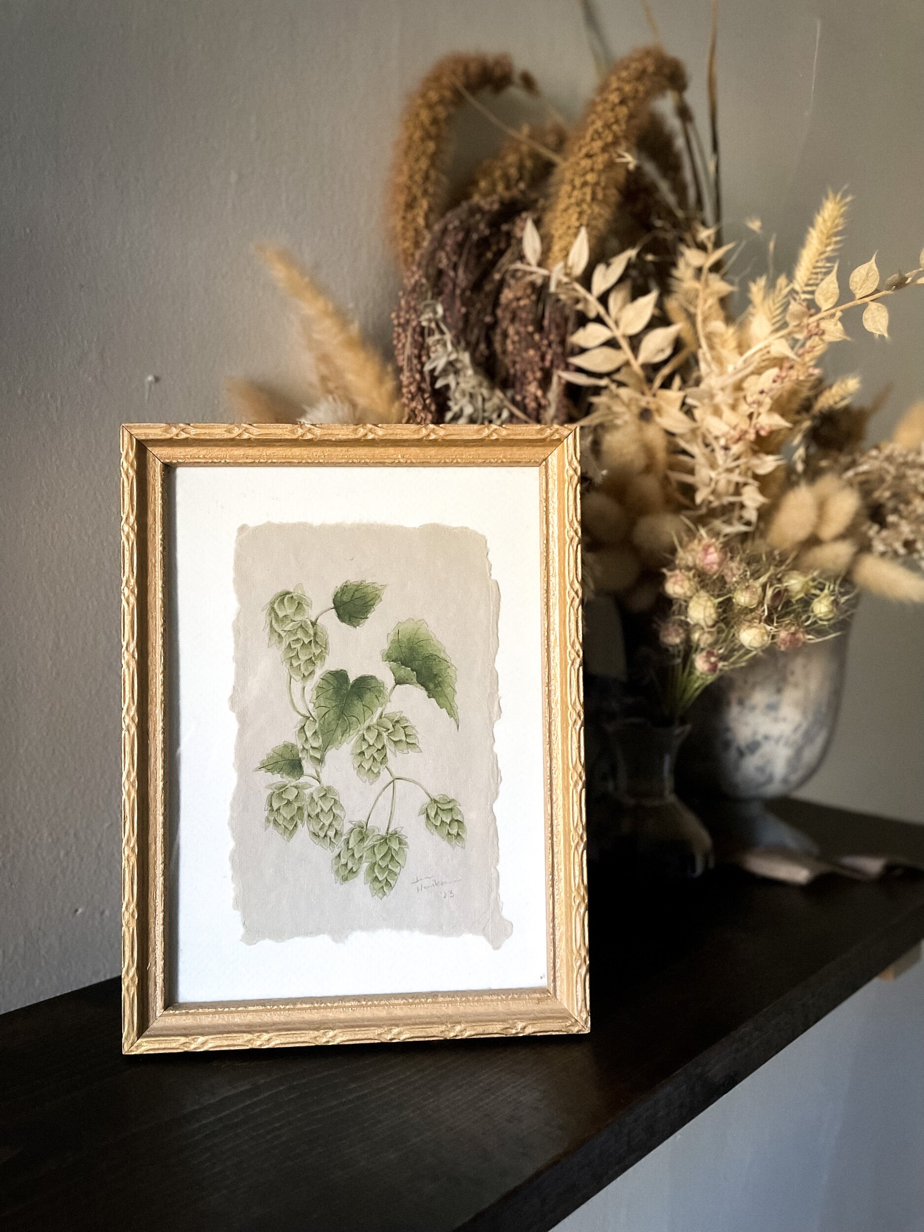Common Hops • Watercolour Painting