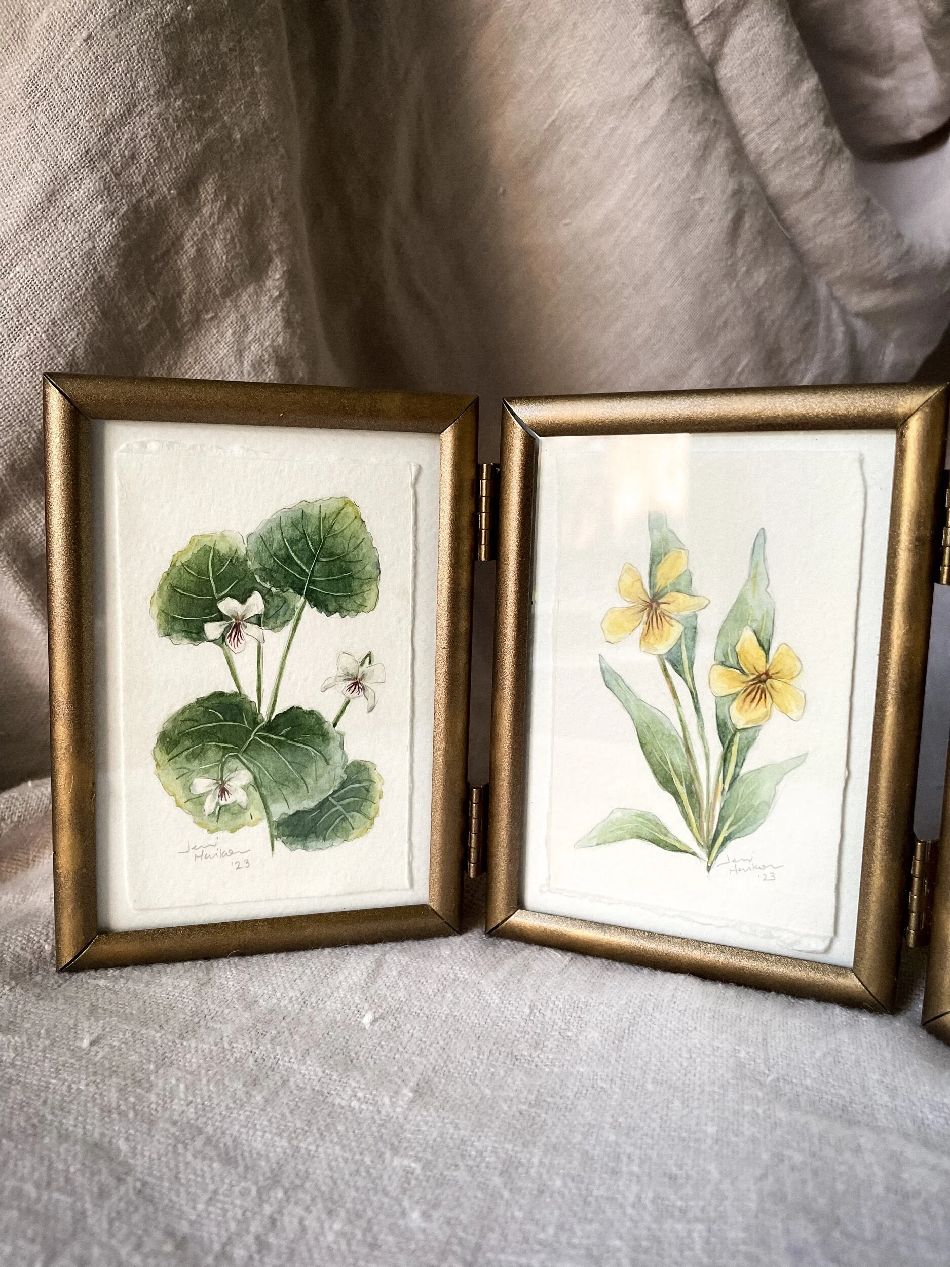 024ED05C-01A7-469C-A5BE-E687104B888D