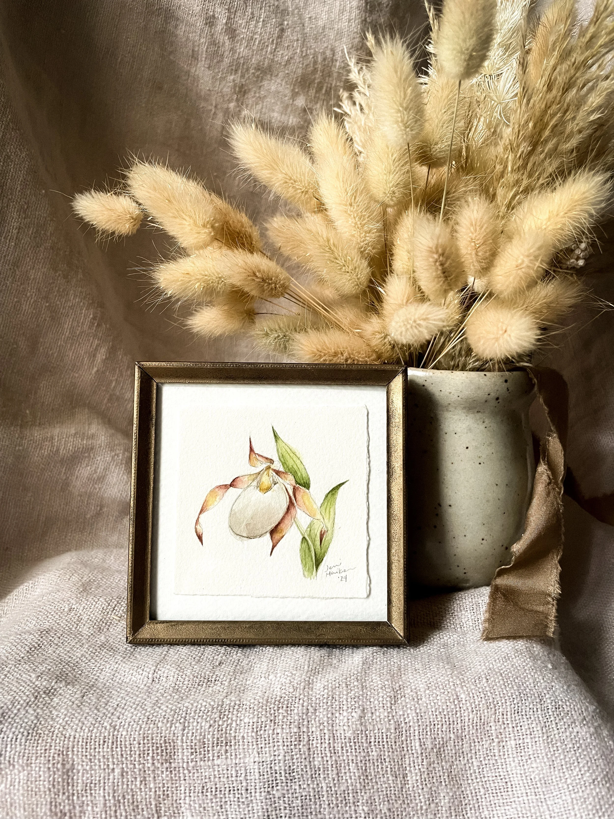 Small White Lady's Slipper V-1.JPG