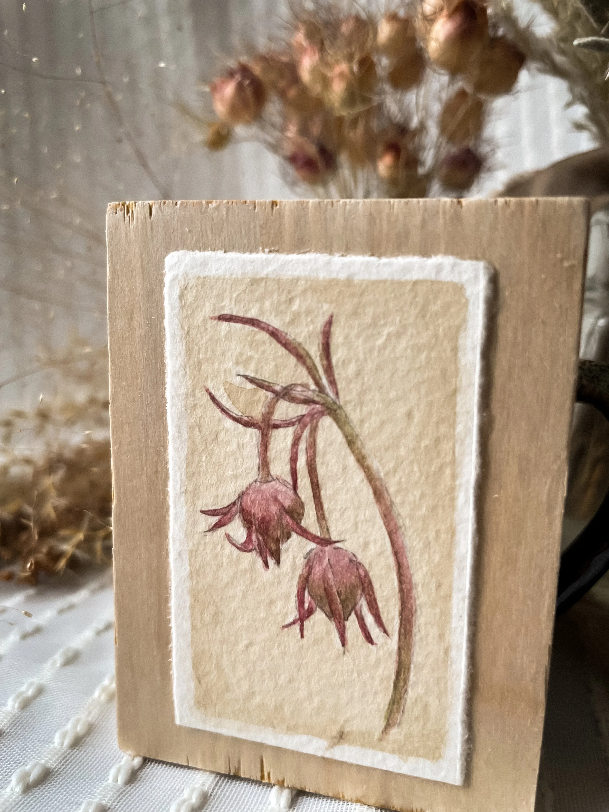 Three Flowered Avens-6.JPG