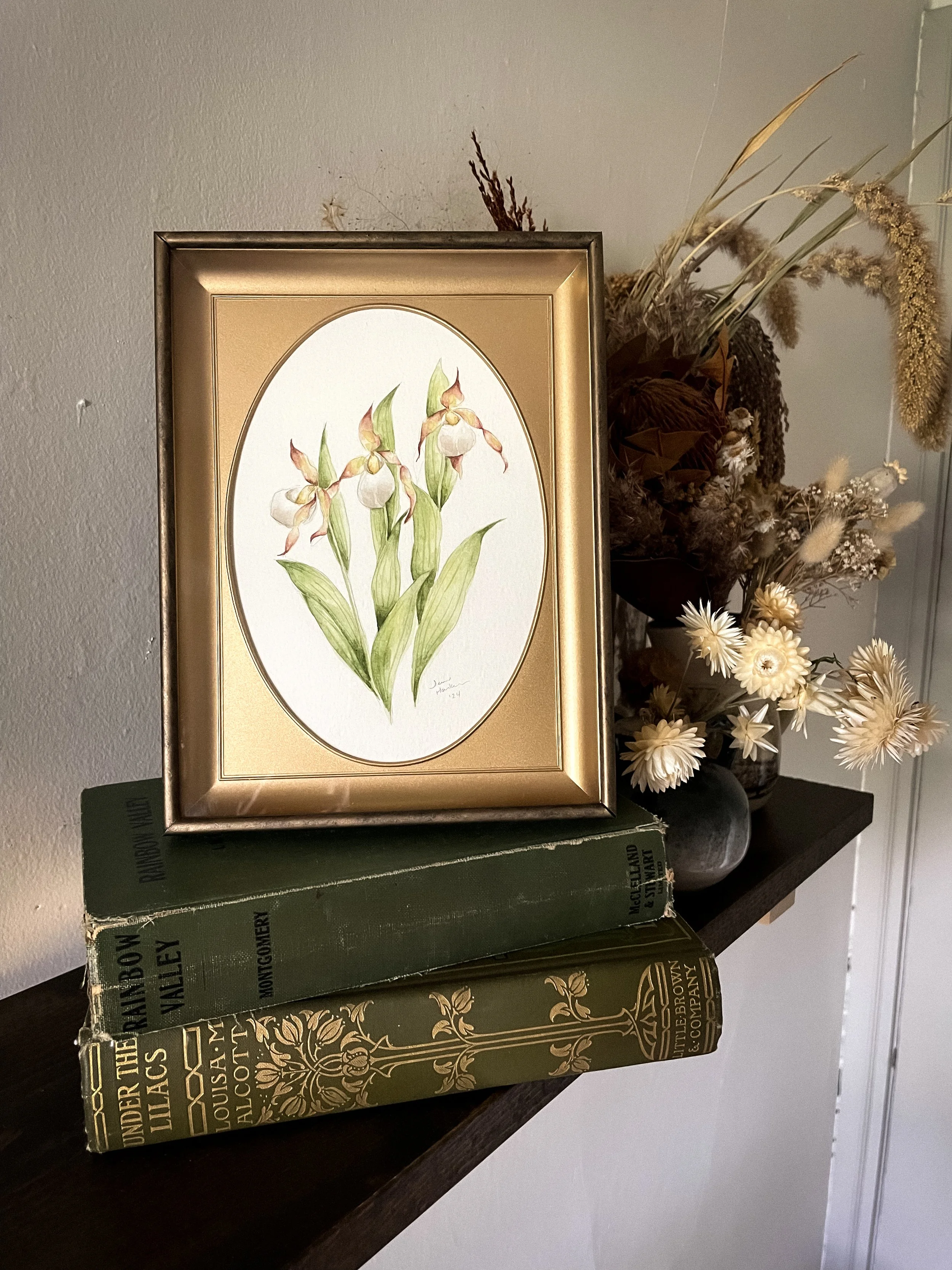 Small White LS II-2.JPG