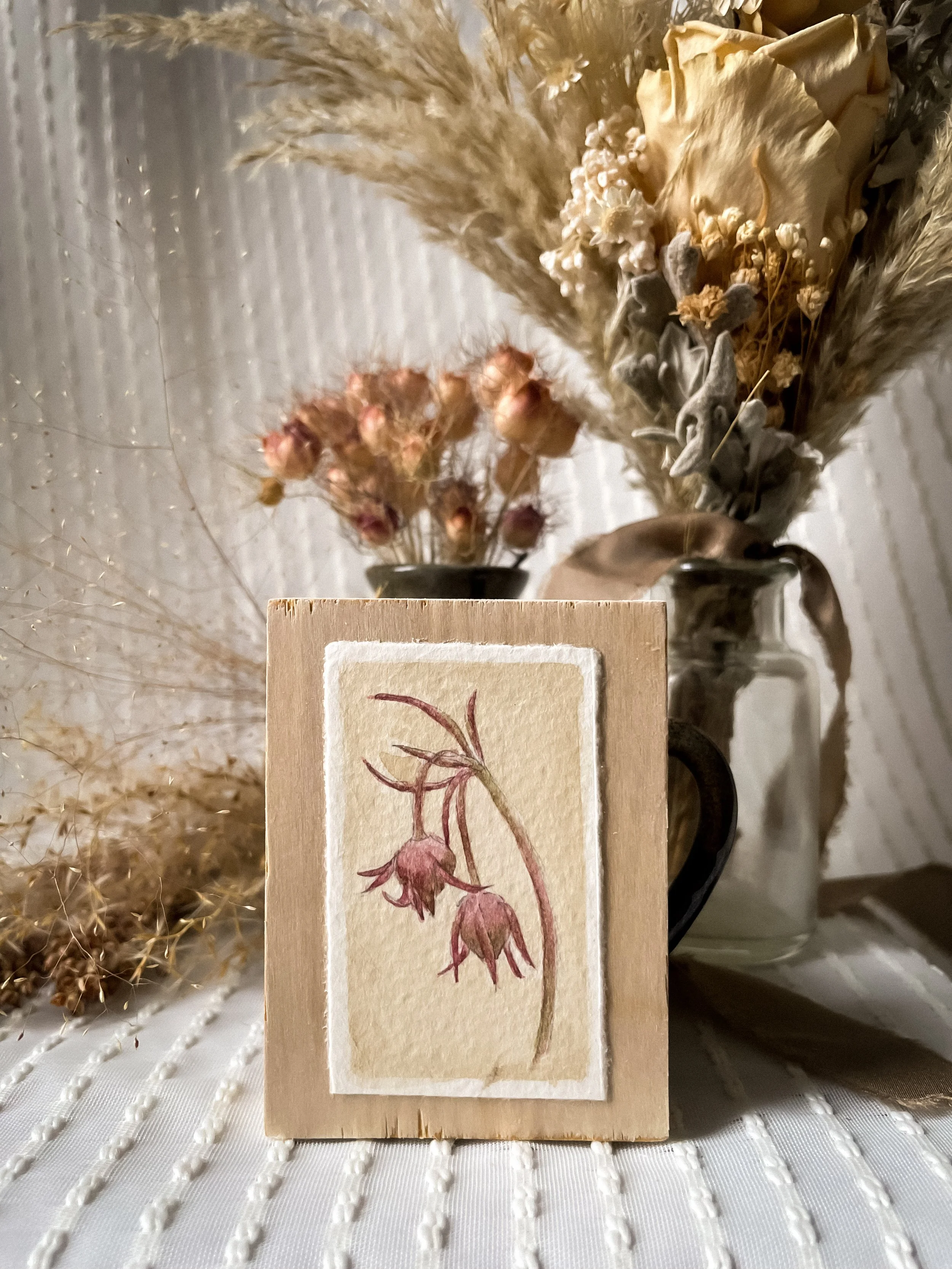 Three Flowered Avens-5.JPG