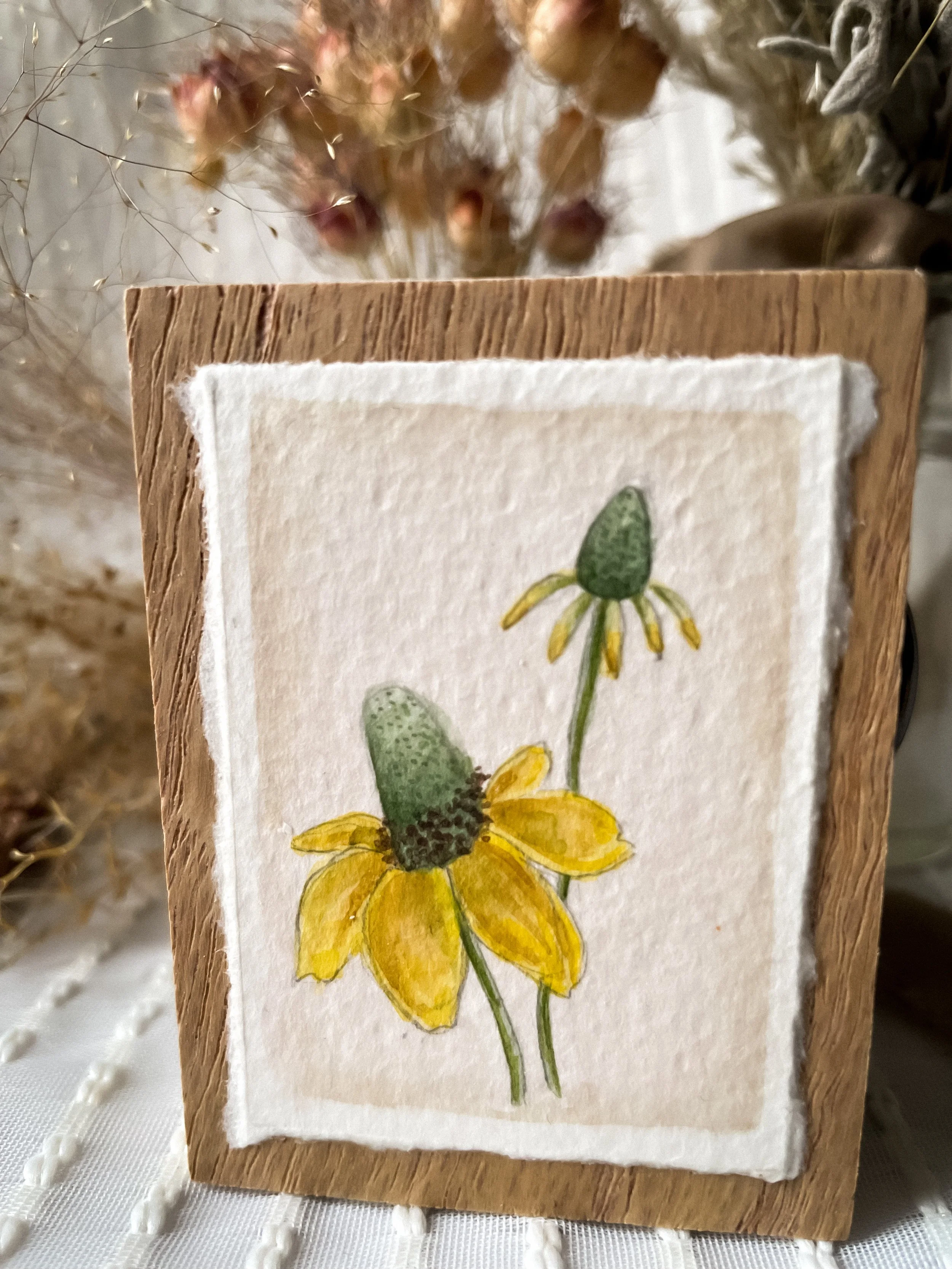 Yellow Coneflower-2.JPG