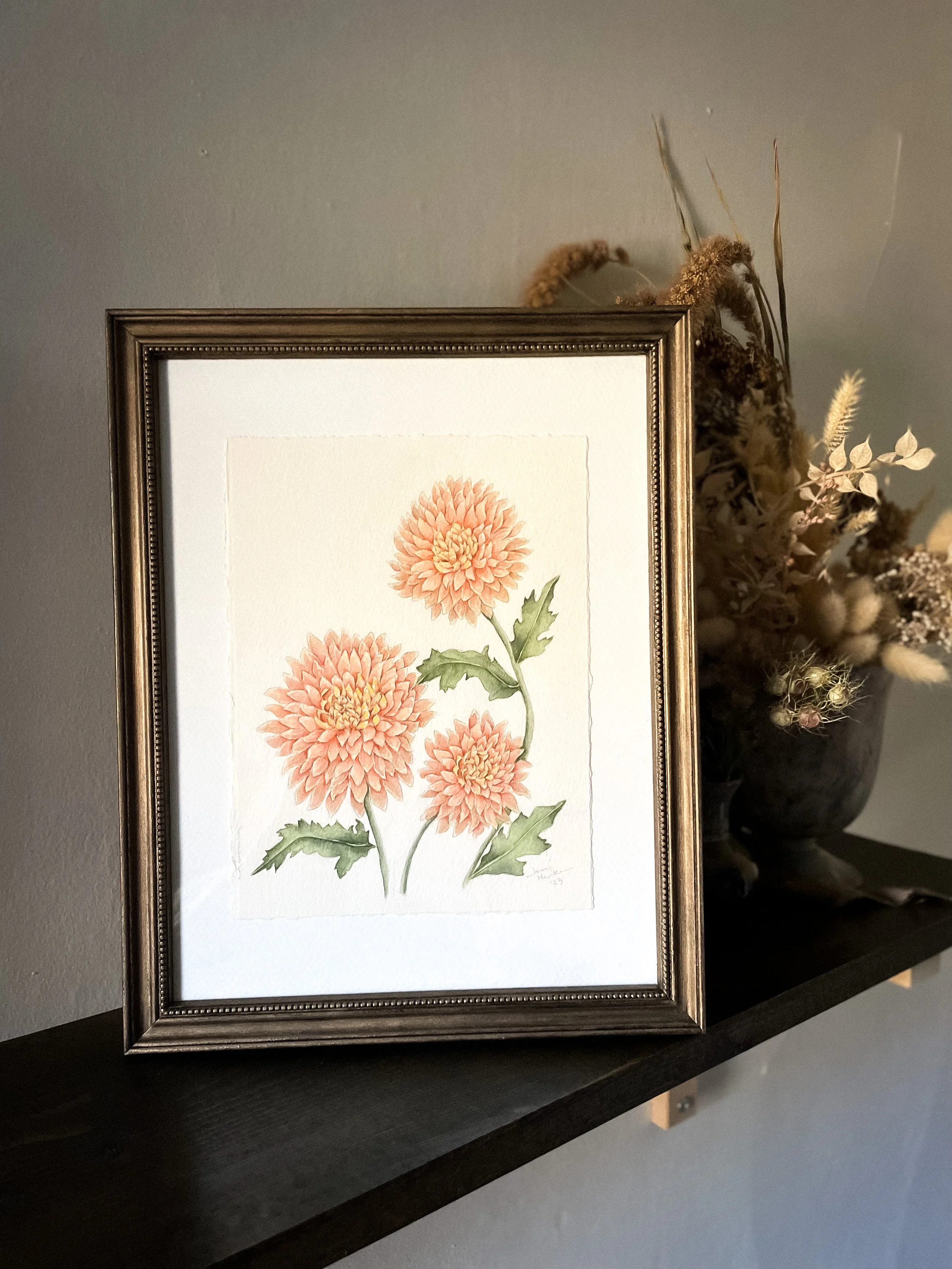 Chrysanthemum • Watercolour Painting