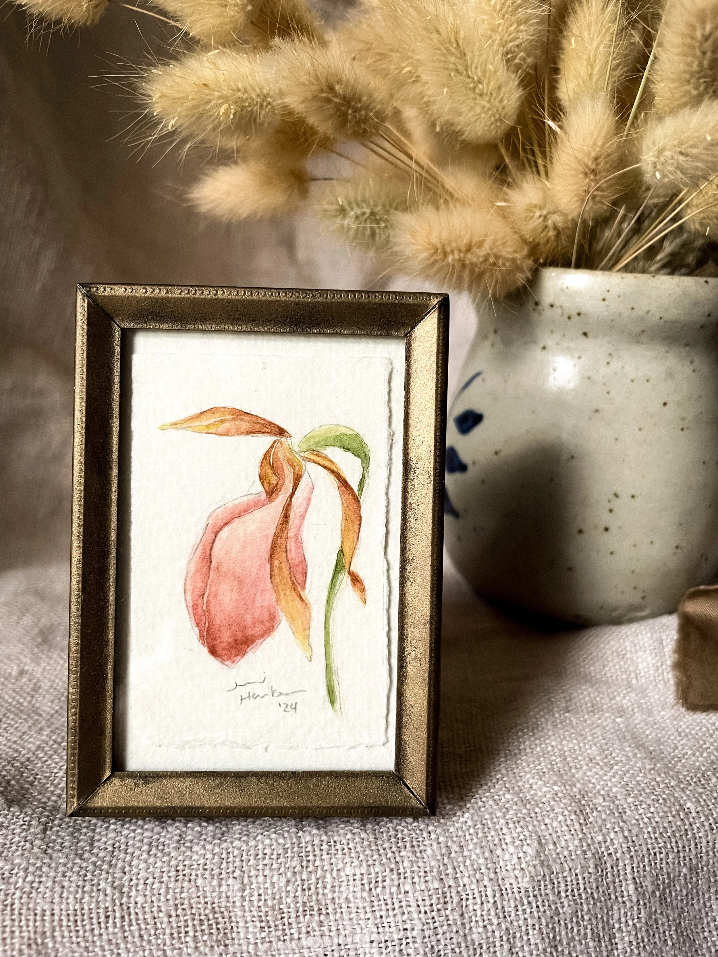 Pink Lady's Slipper III-2.JPG