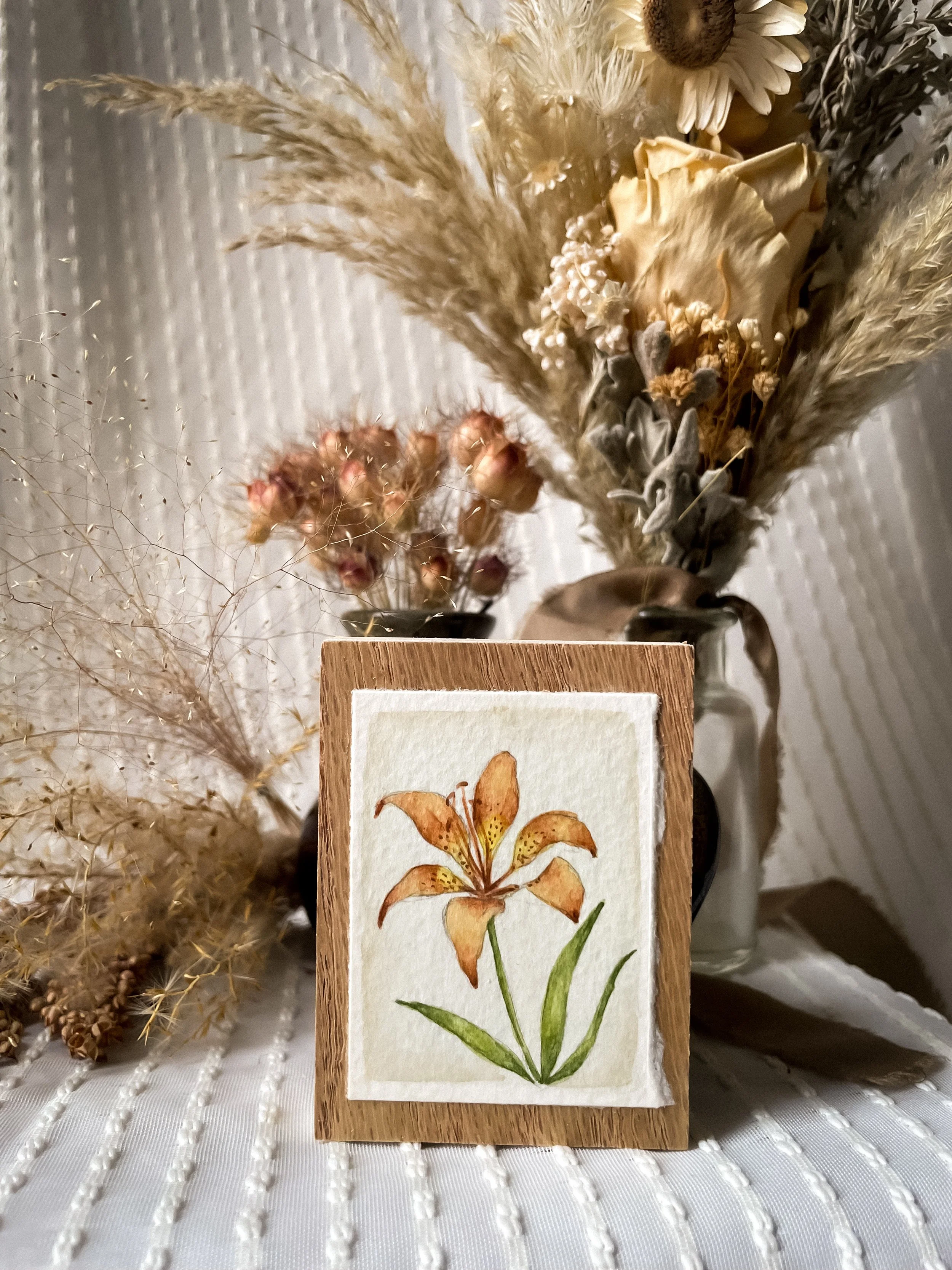 Western Red Lily-5.JPG