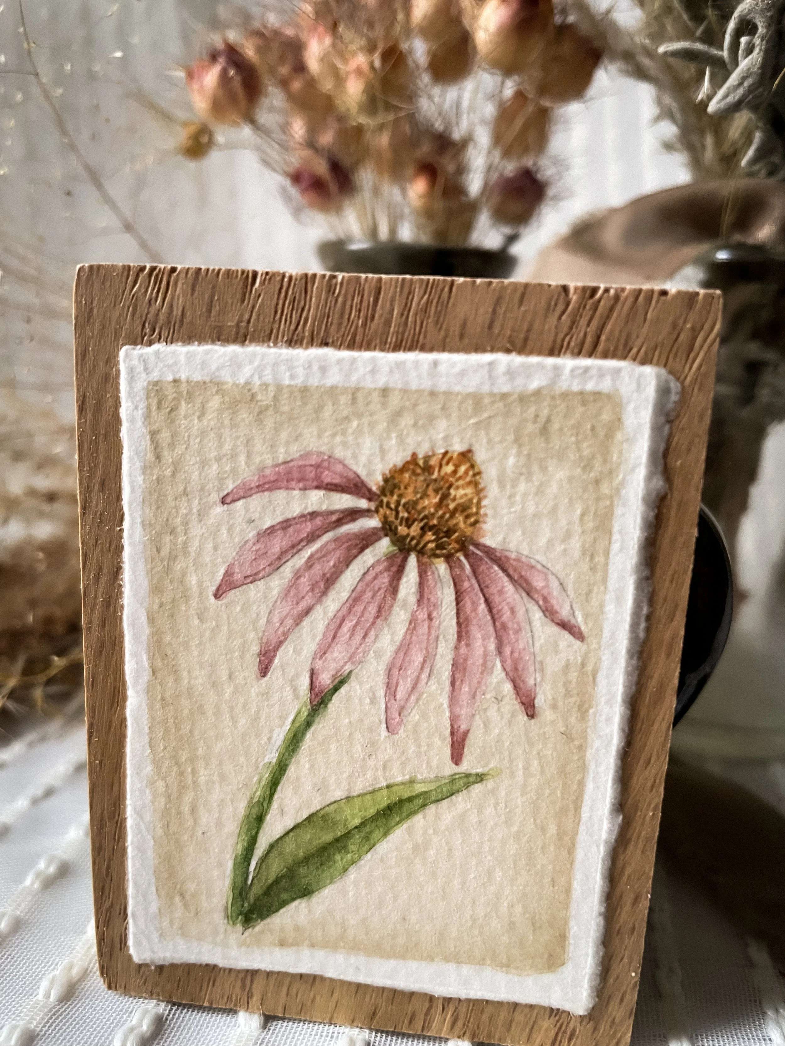 Purple Coneflower-2.JPG