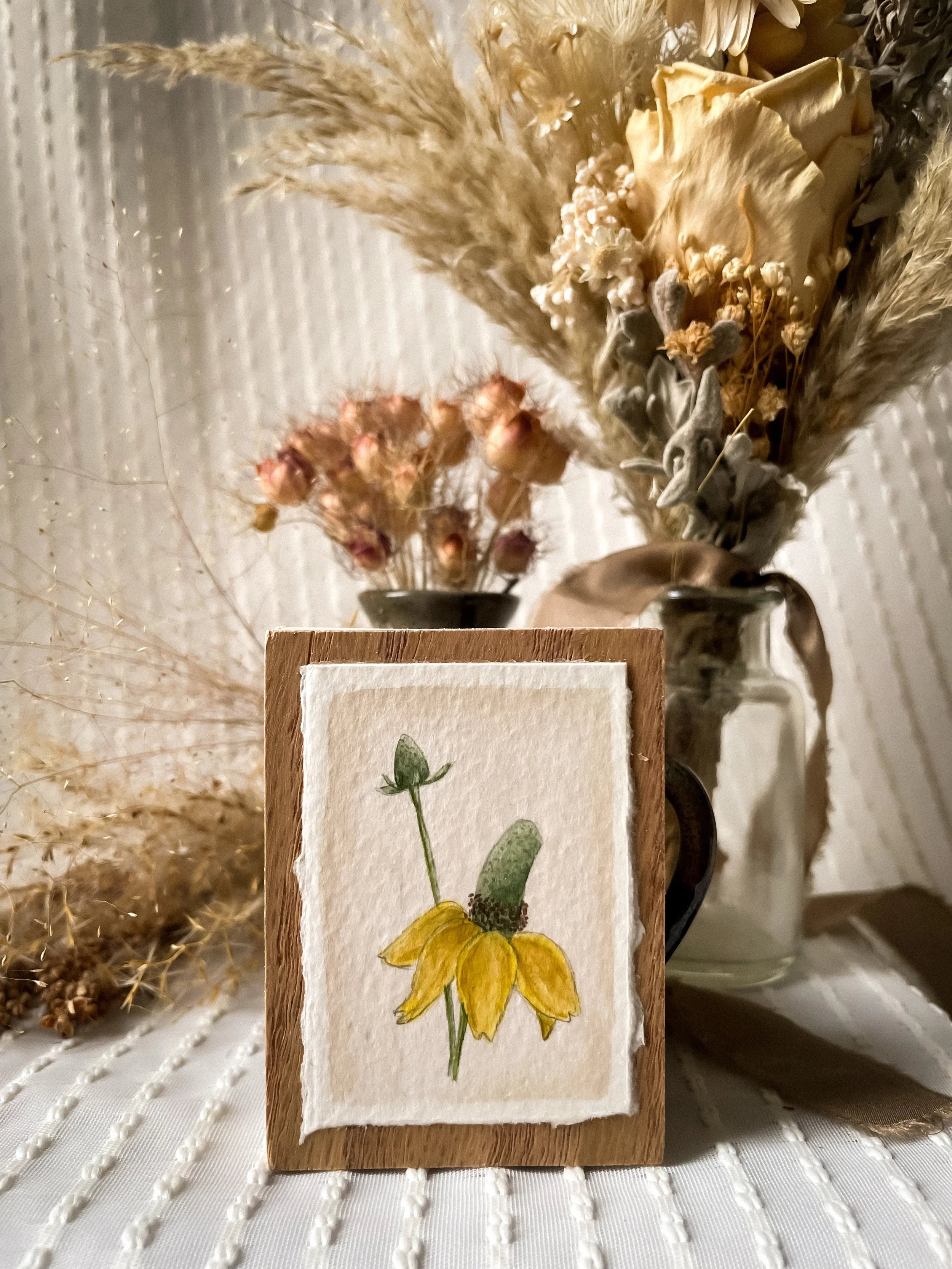 Yellow Coneflower-5.JPG