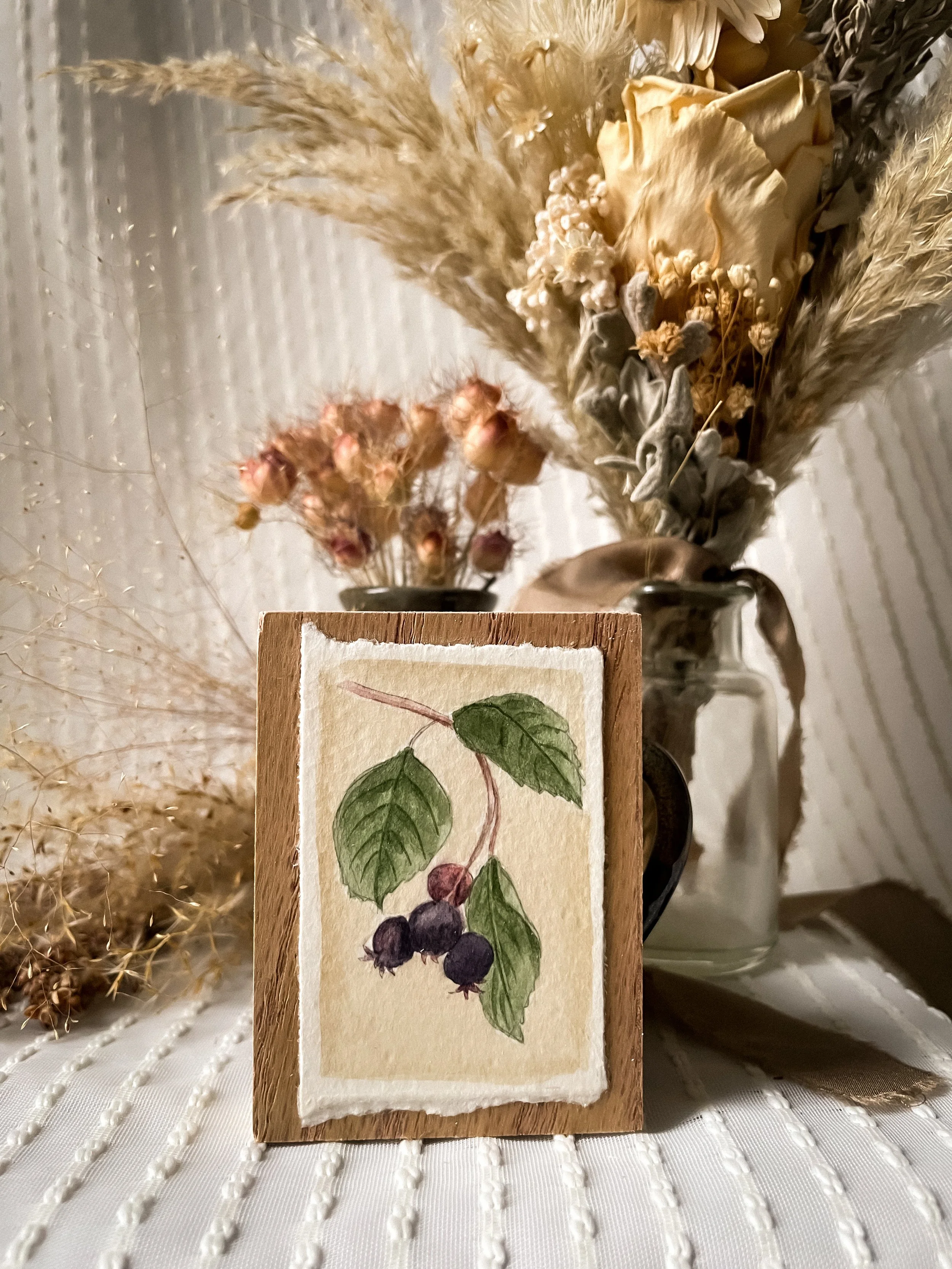 Saskatoon Berry-3.JPG