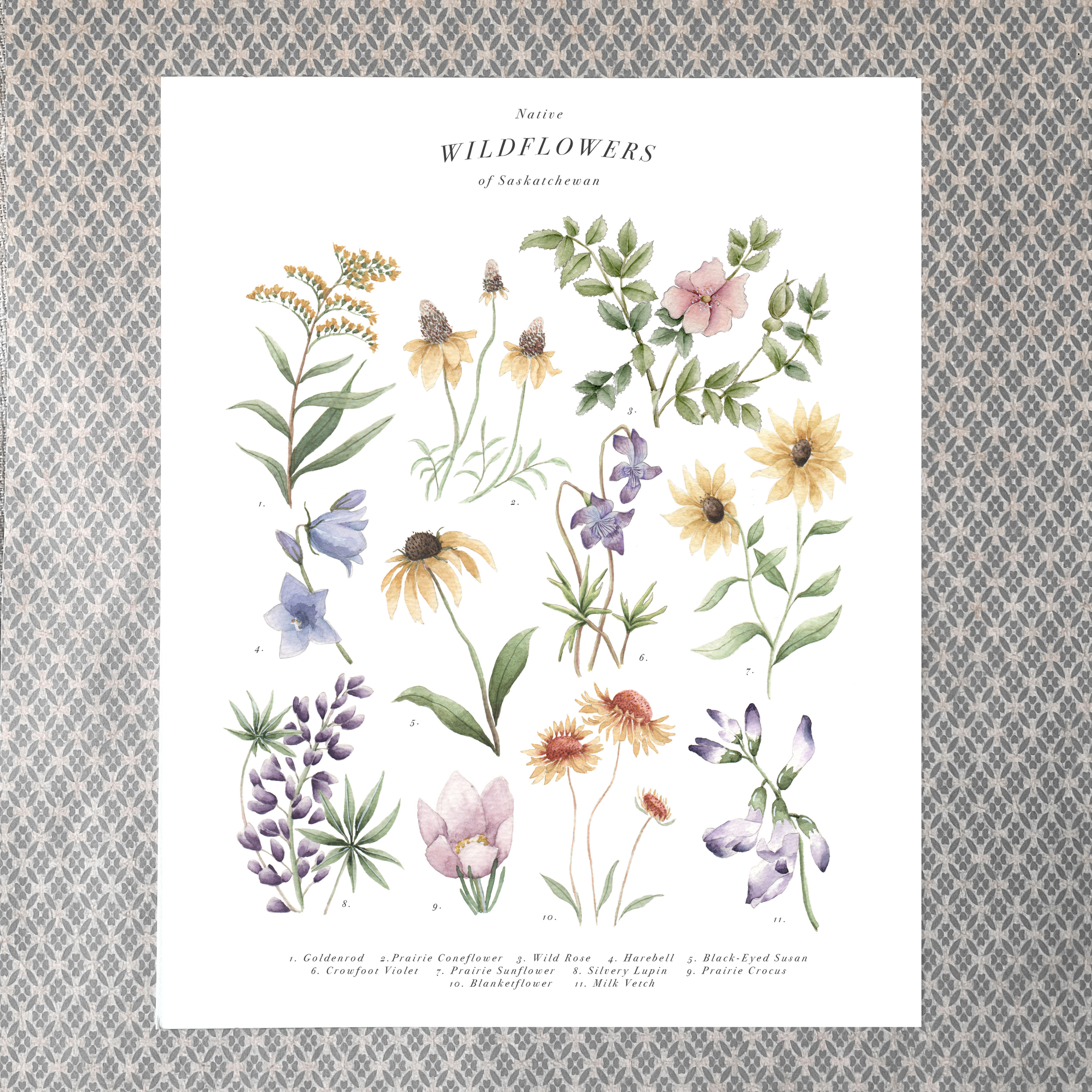 "Wildflowers of Saskatchewan" 8x10 Print