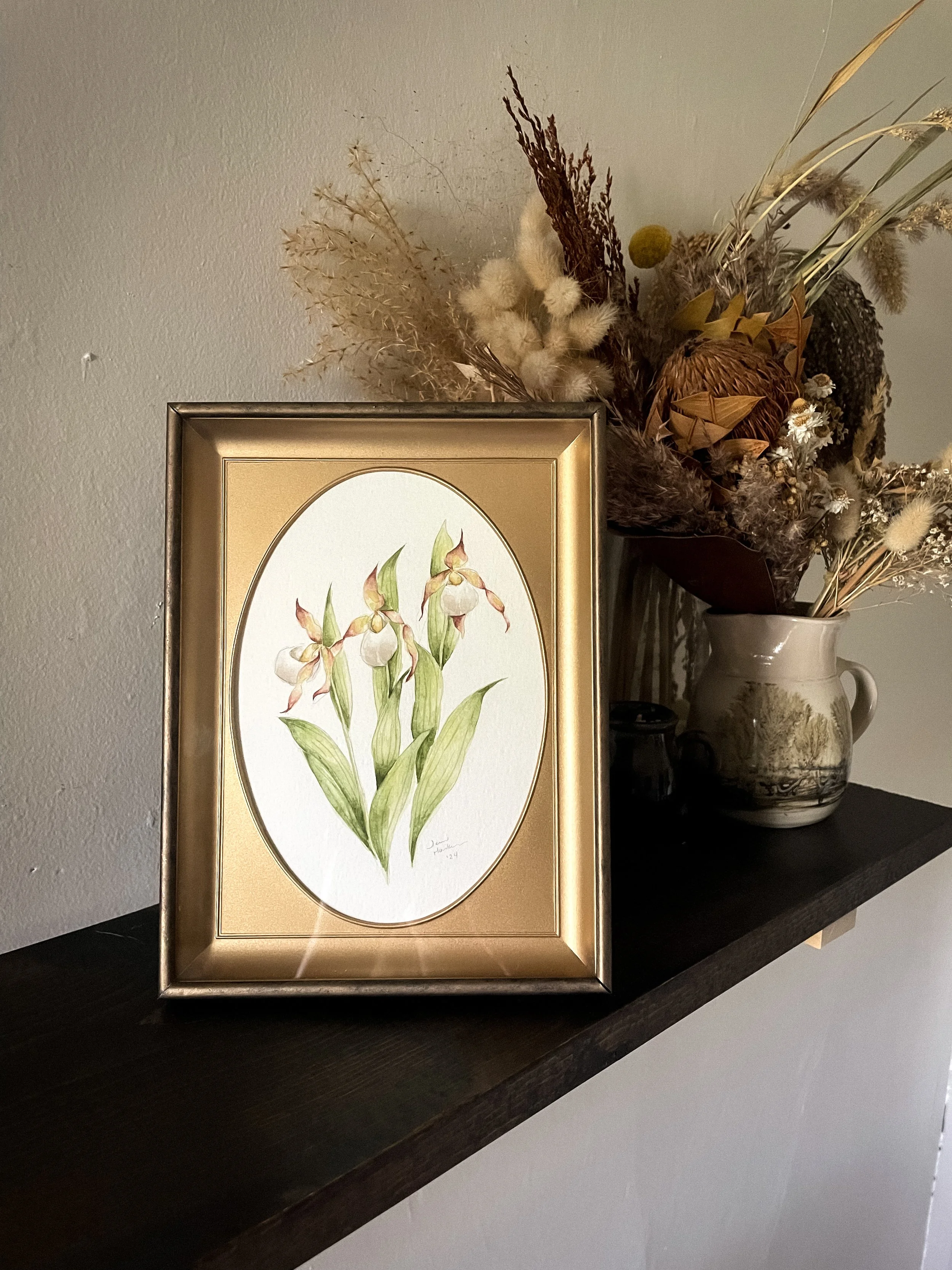 Small White LS II-1.JPG