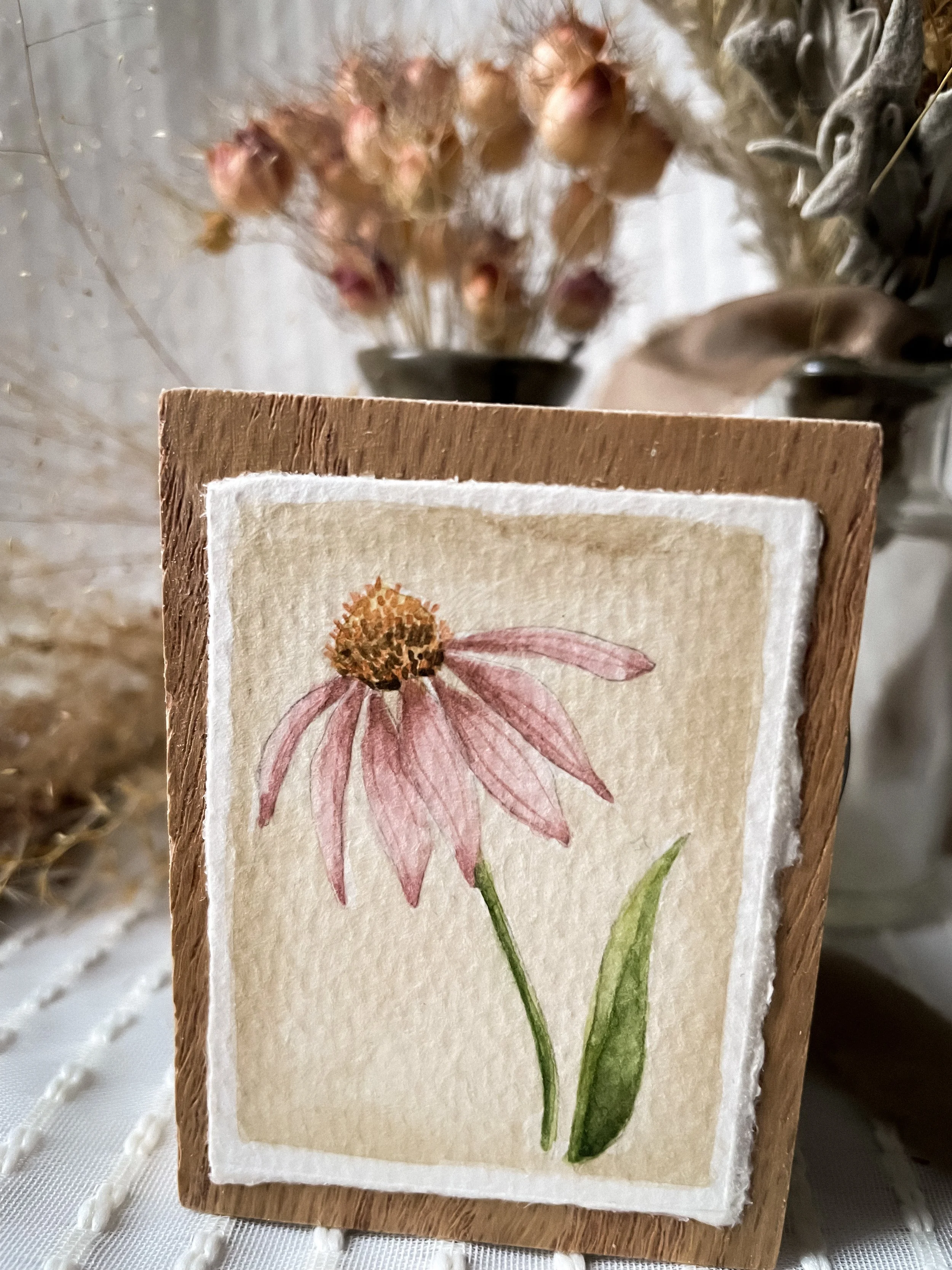 Purple Coneflower-4.JPG